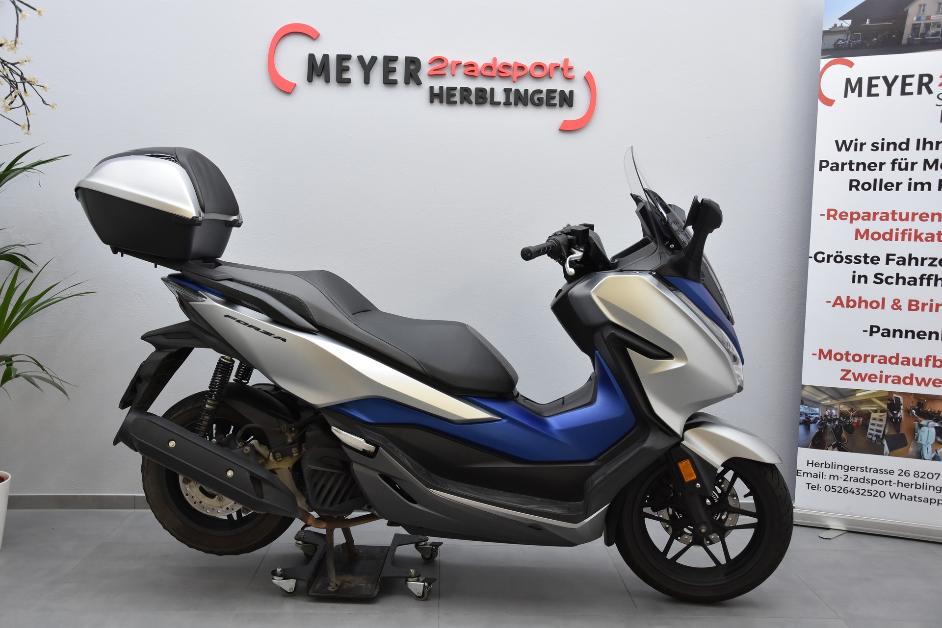 HONDA NSS 125 Forza ABS-image-1