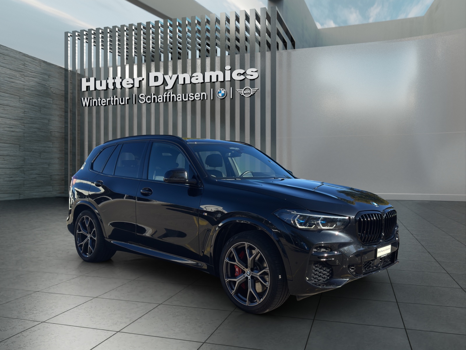 BMW X5 40d xDrive PANORAMA GLASDACH-showroom-element-2