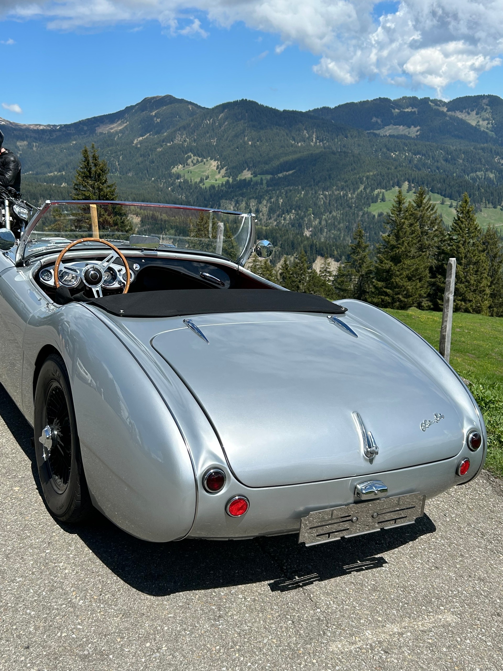 AUSTIN-HEALEY 100M BN2 Le Mans-image-23