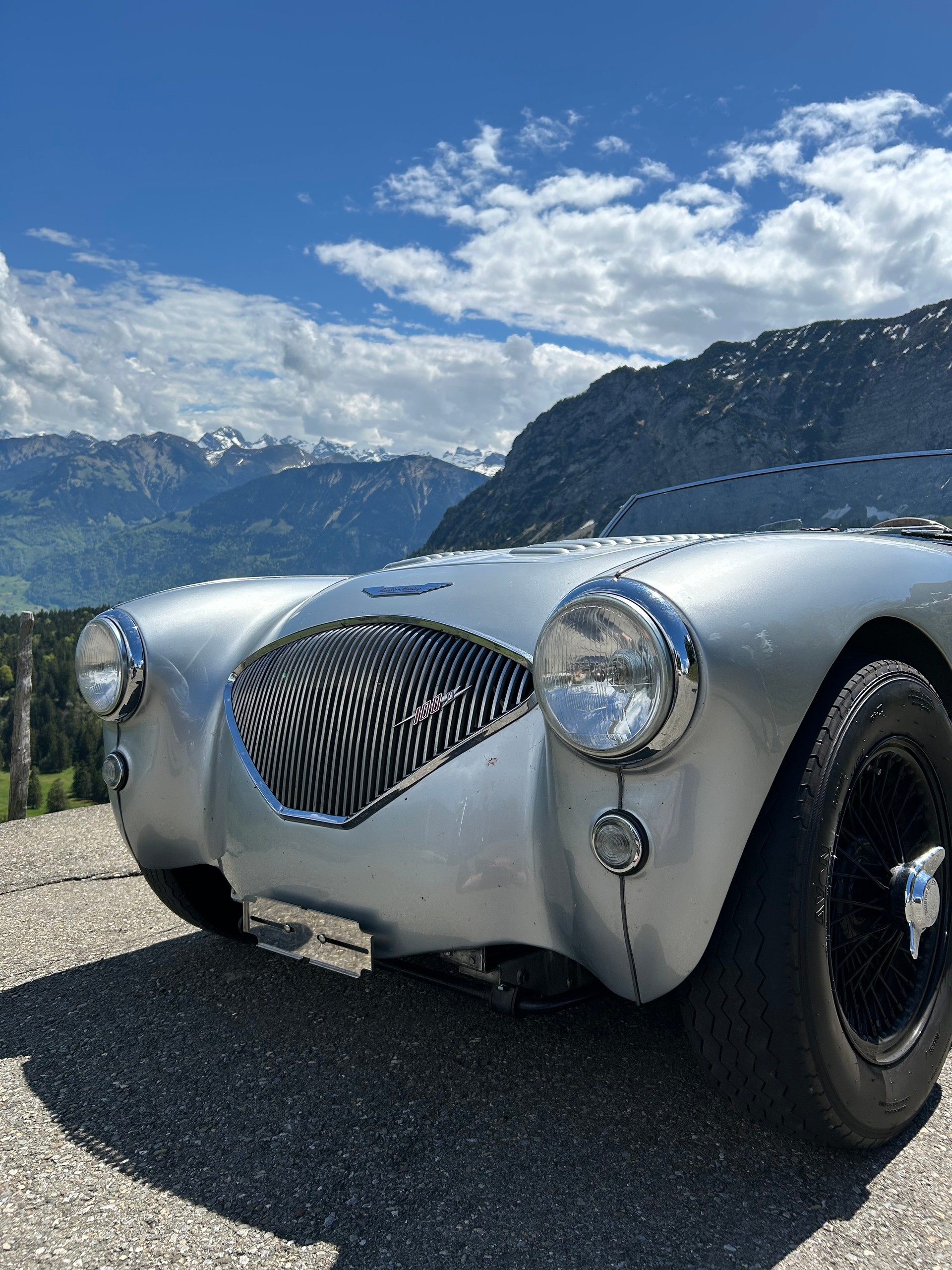 AUSTIN-HEALEY 100M BN2 Le Mans-image-20