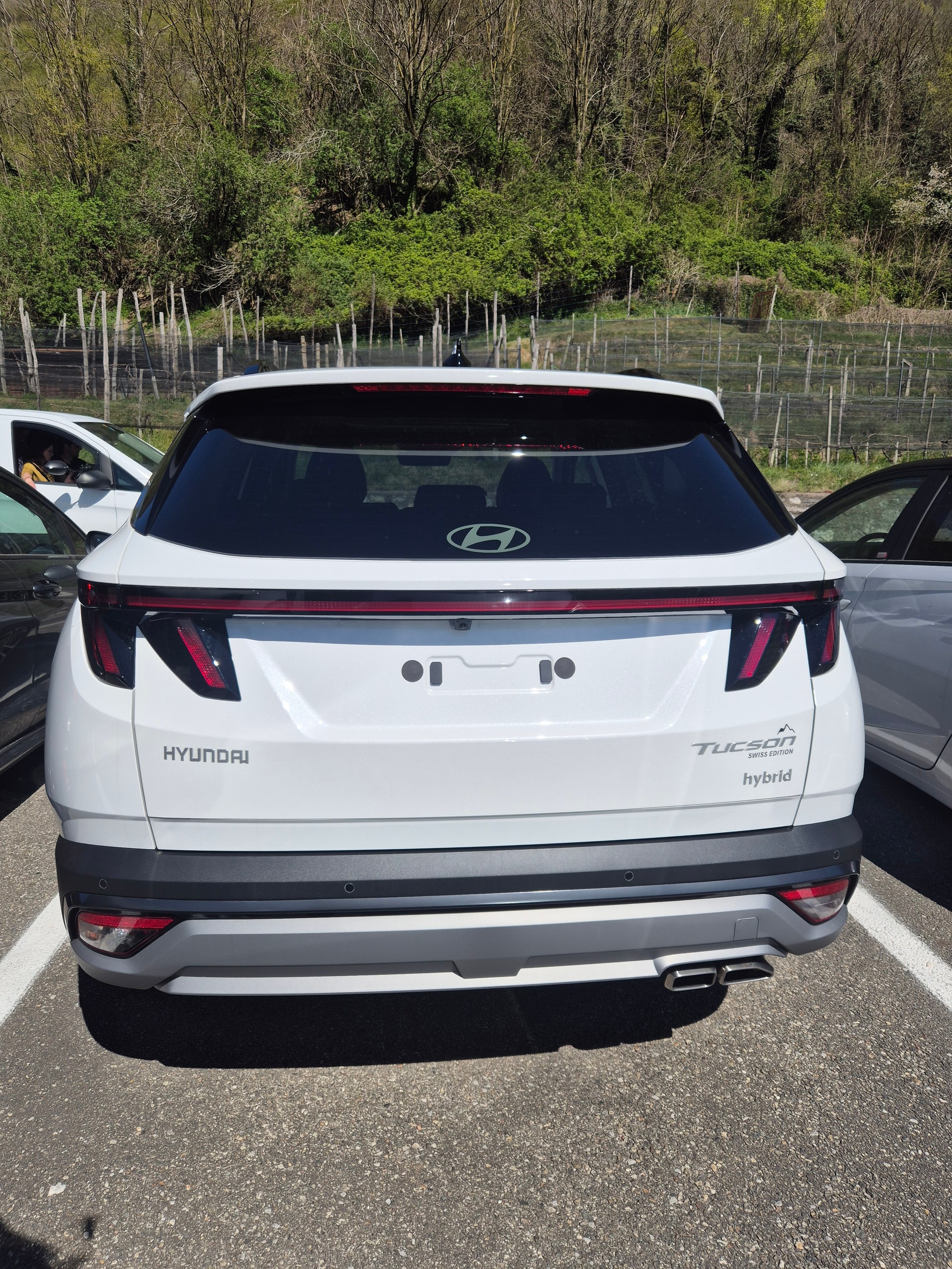 HYUNDAI Tucson 1.6 TGDI HEV Vertex Swiss Edition 4WD-image-3