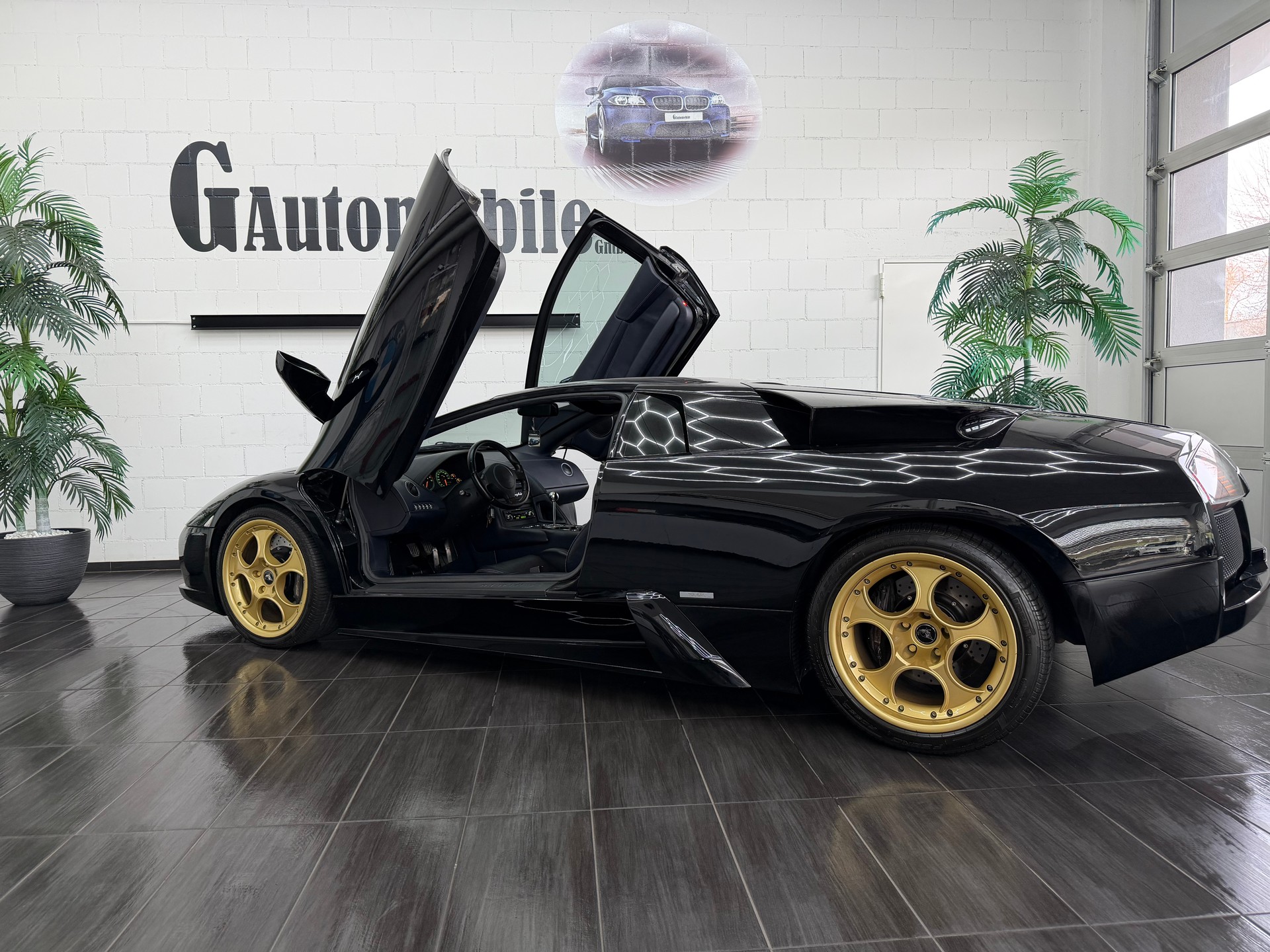 LAMBORGHINI Murciélago 6.2 Coupé ⭐️-image-8