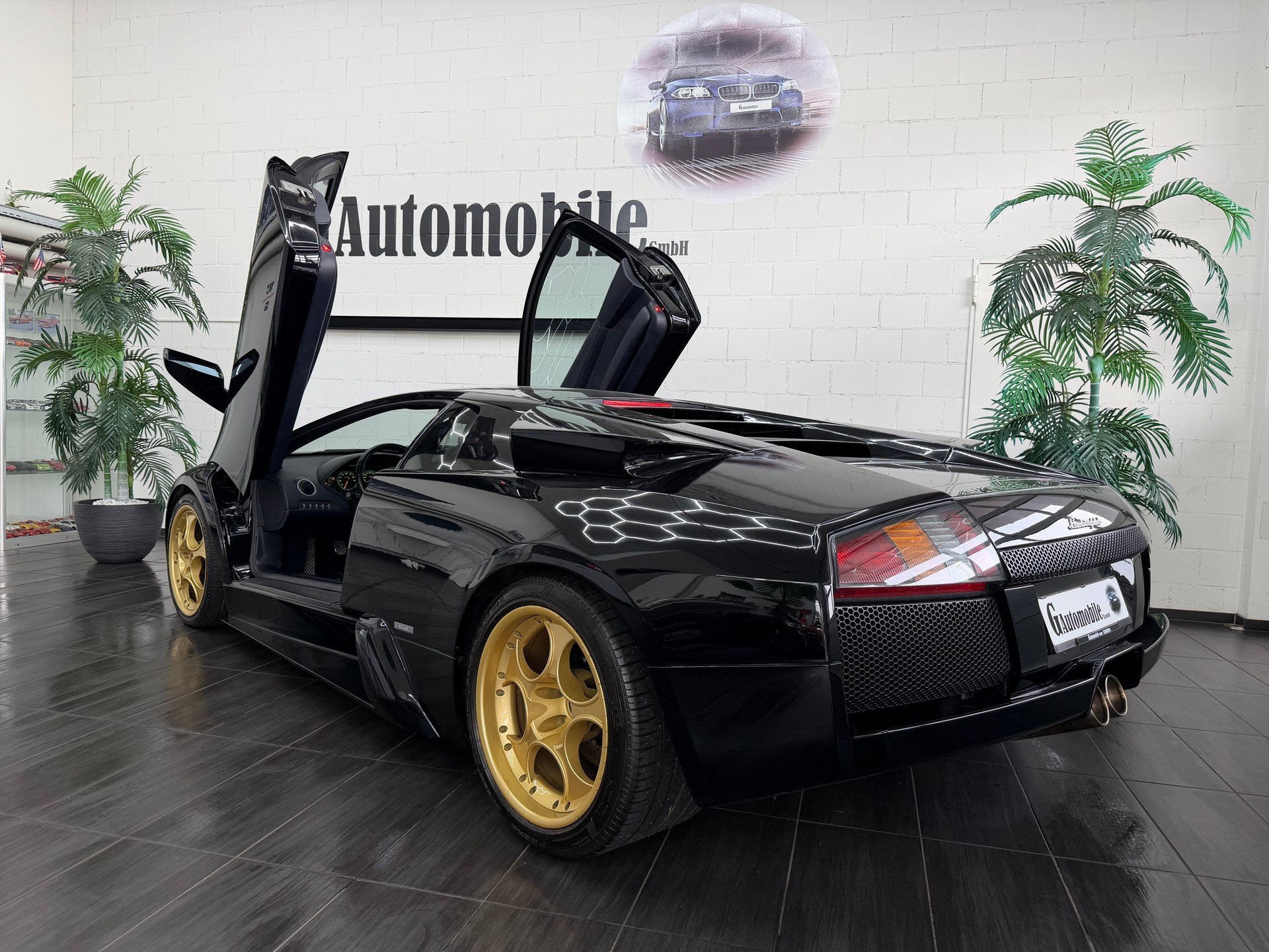 LAMBORGHINI Murciélago 6.2 Coupé ⭐️-image-9