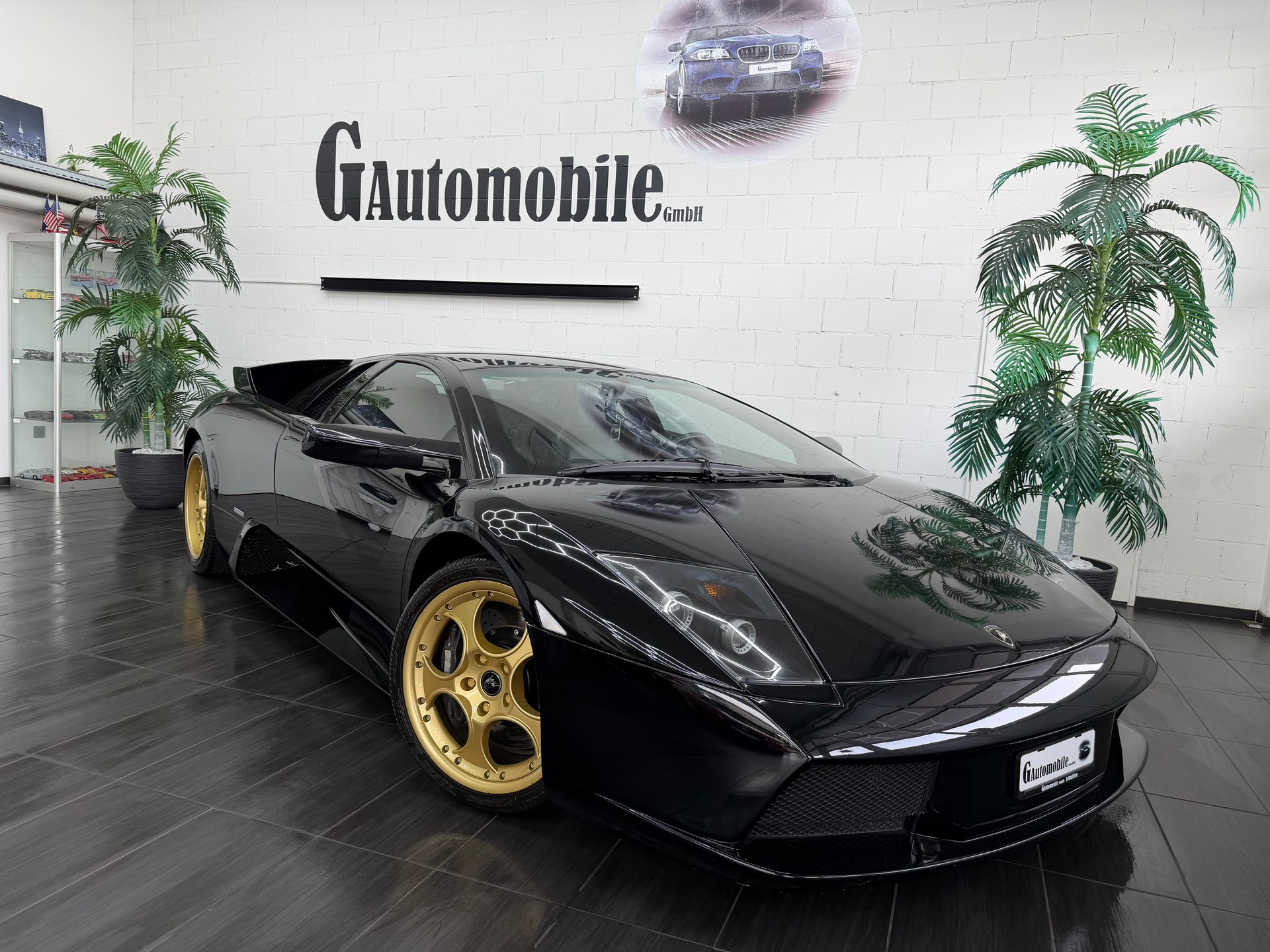 LAMBORGHINI Murciélago 6.2 Coupé ⭐️