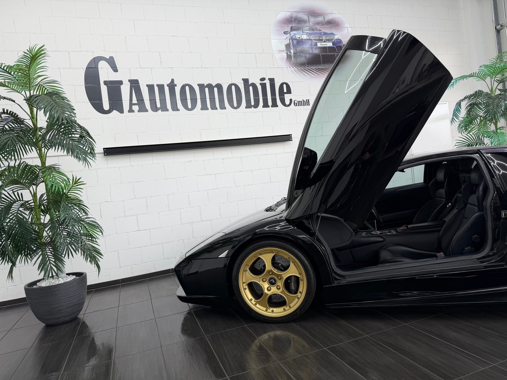 LAMBORGHINI Murciélago 6.2 Coupé ⭐️-image-7
