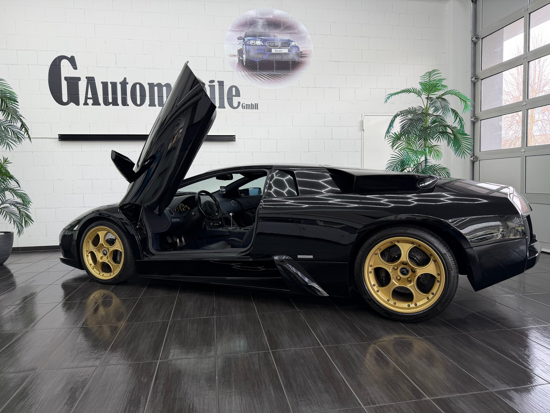 LAMBORGHINI Murciélago 6.2 Coupé ⭐️-image-6
