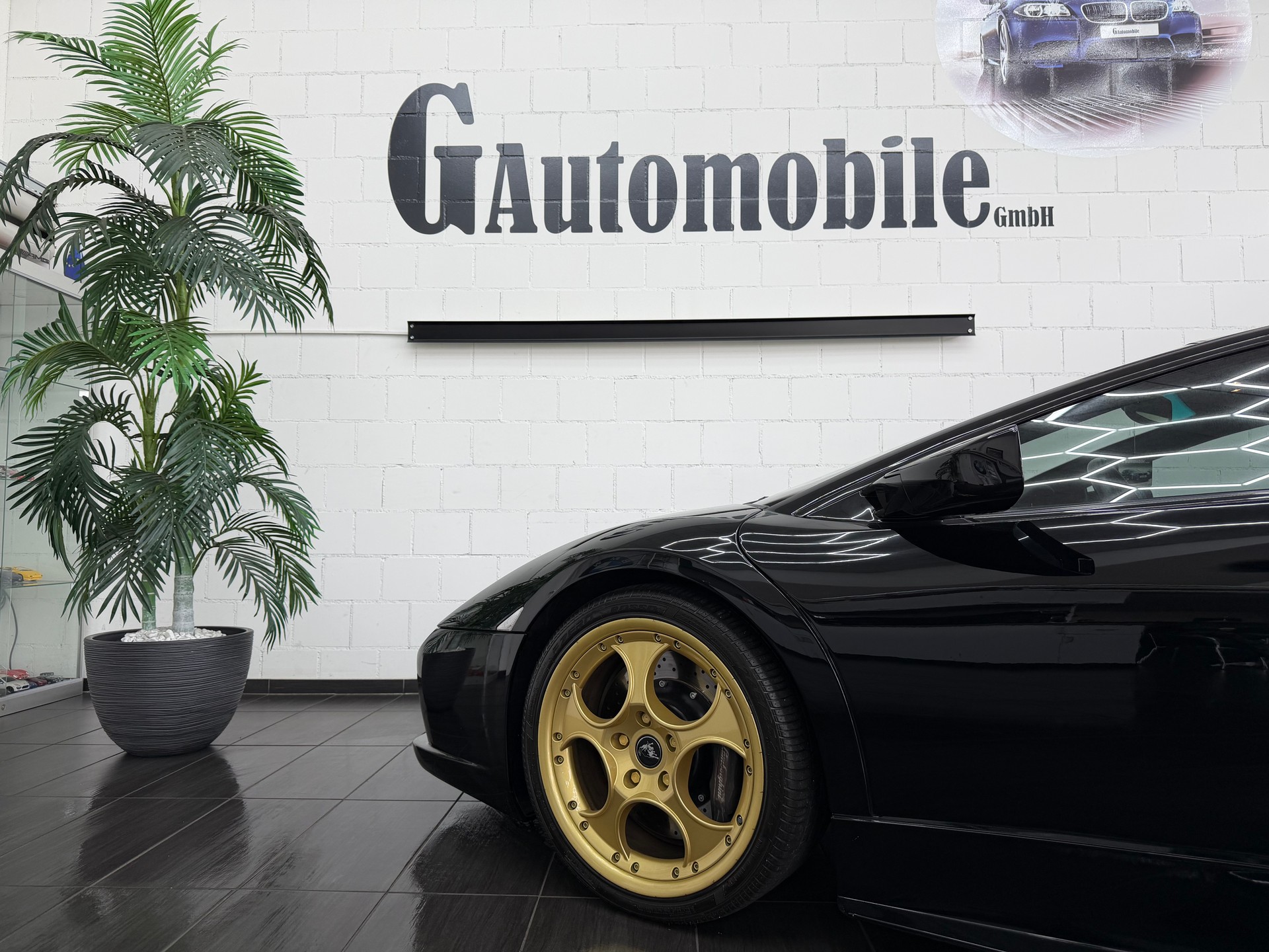 LAMBORGHINI Murciélago 6.2 Coupé ⭐️-image-5