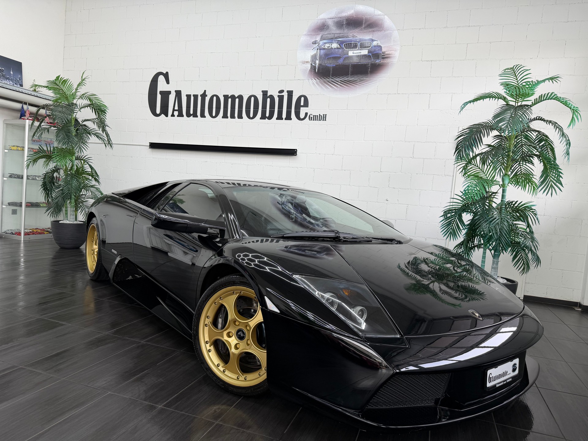 LAMBORGHINI Murciélago 6.2 Coupé ⭐️-showroom-element-2