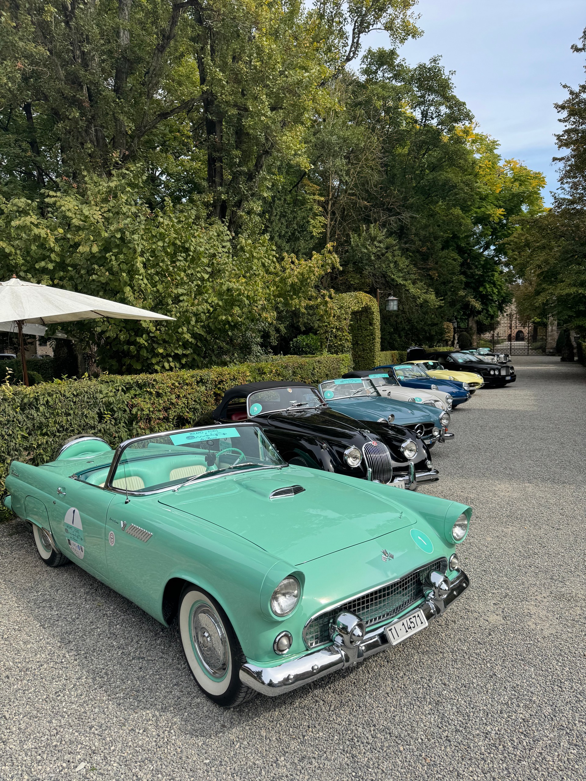 FORD Thunderbird 4.8-image-1