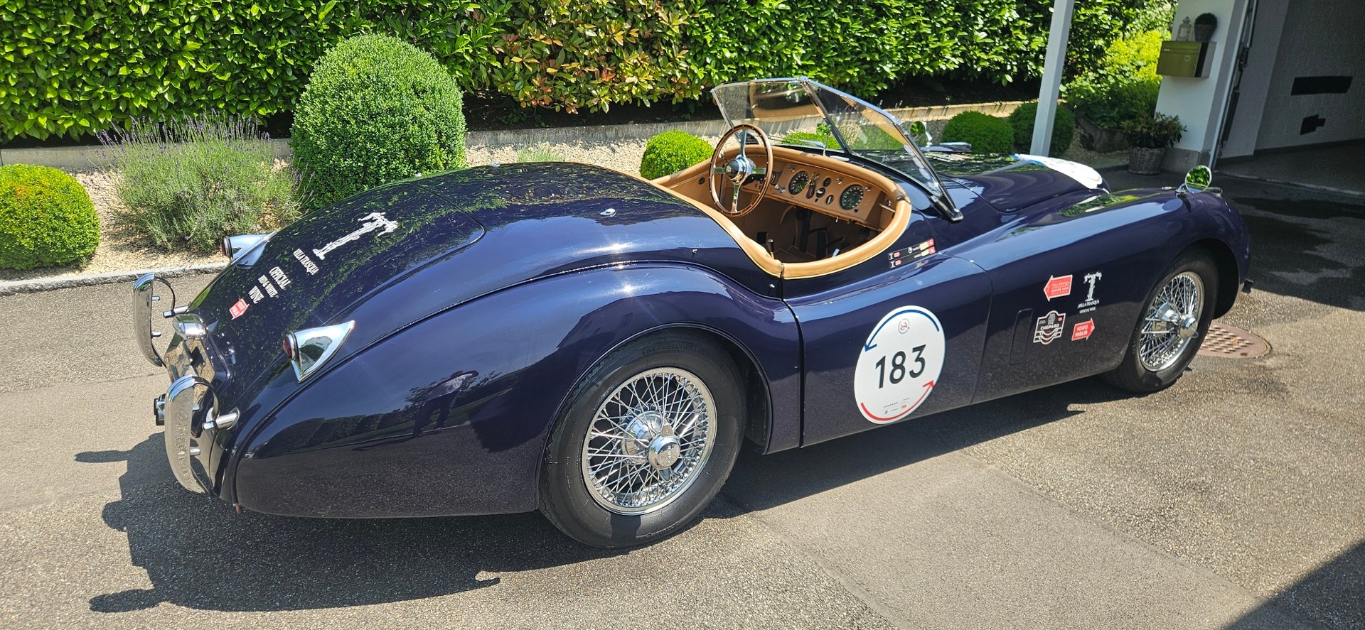 JAGUAR XK120 OTS ¦ 1000 Miglia Registro-image-1