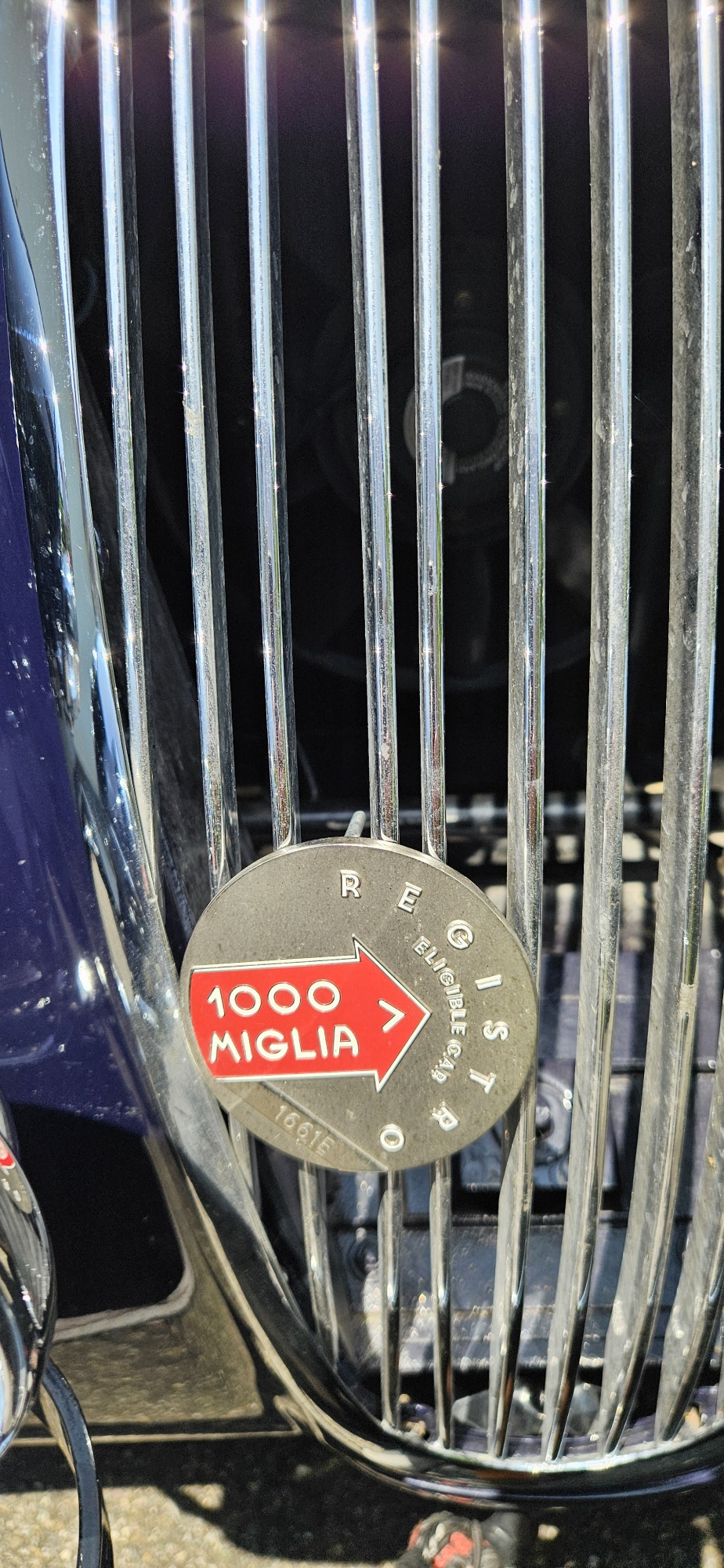 JAGUAR XK120 OTS ¦ 1000 Miglia Registro-image-2