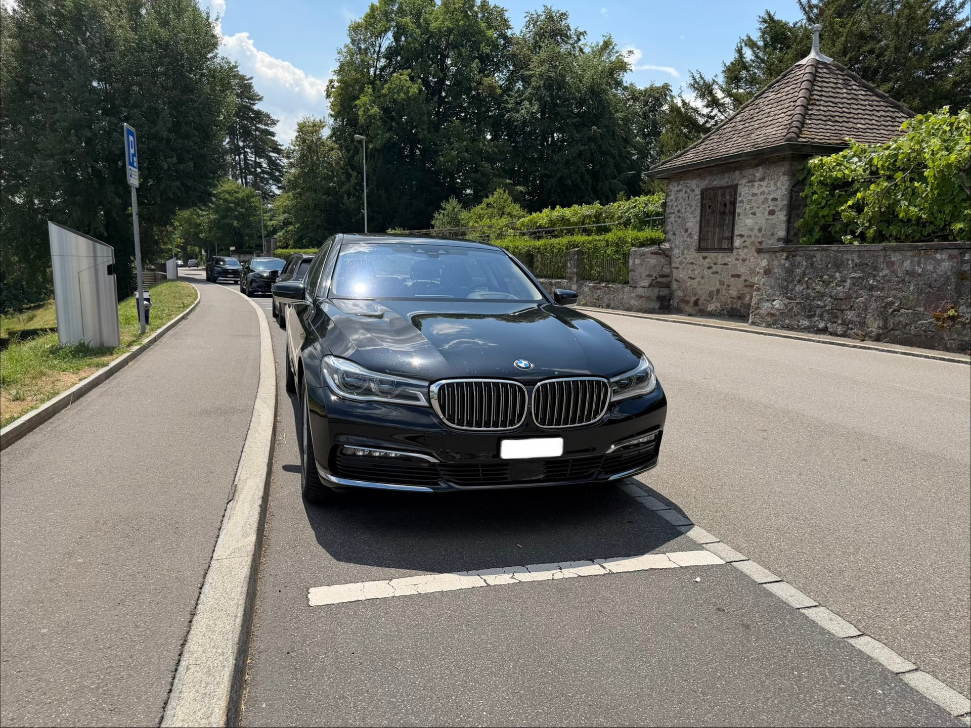 BMW 730Ld xDrive-image-3