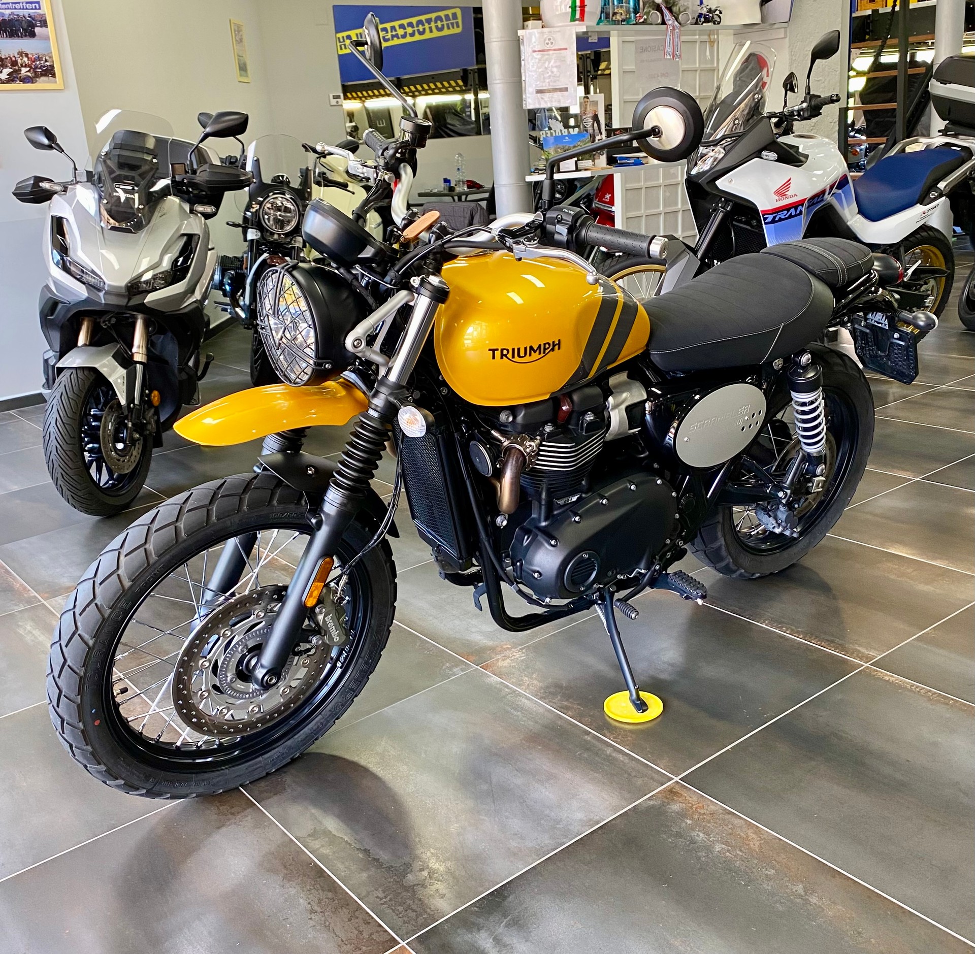 TRIUMPH Street Scrambler 900-image-2