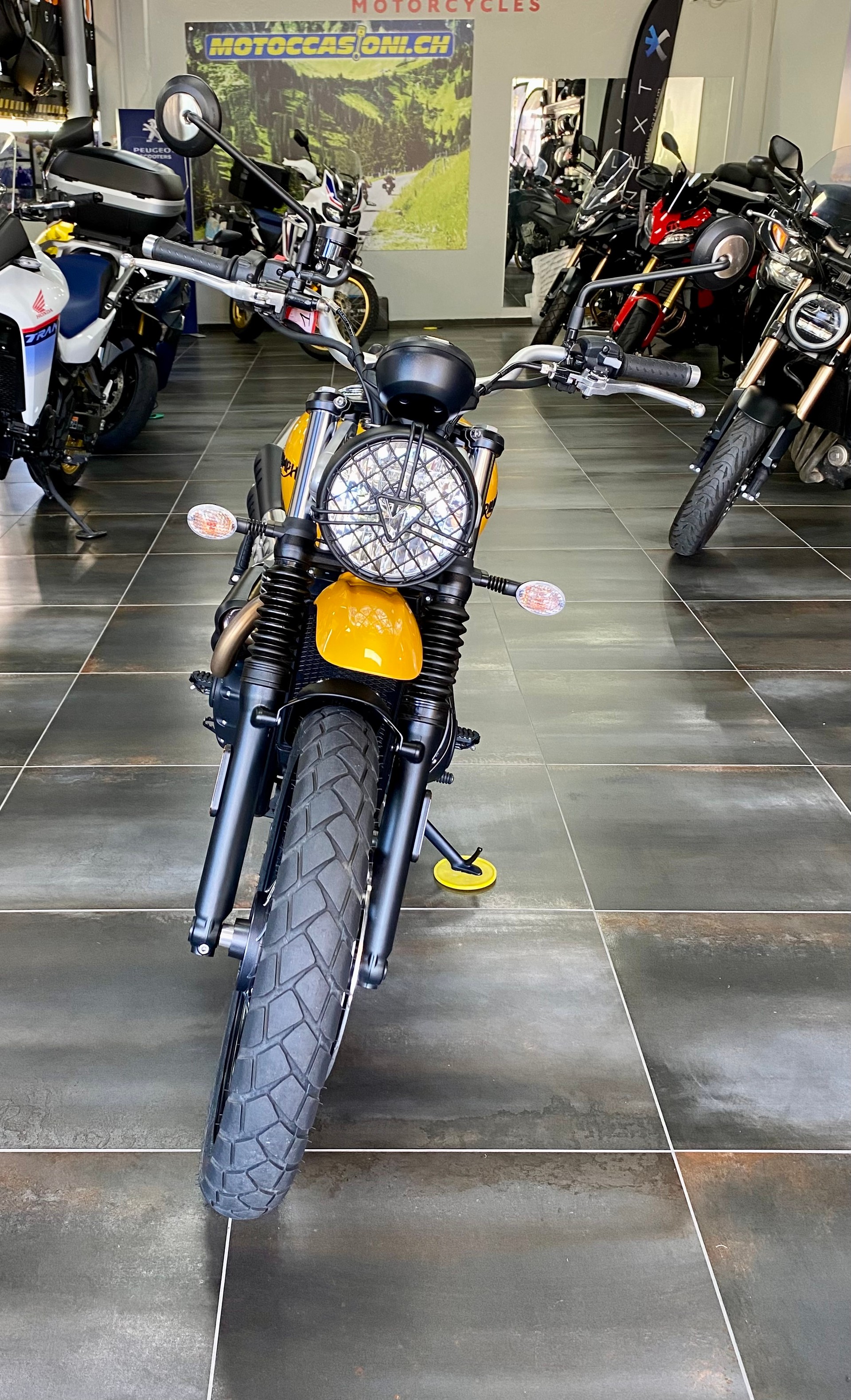 TRIUMPH Street Scrambler 900-image-1