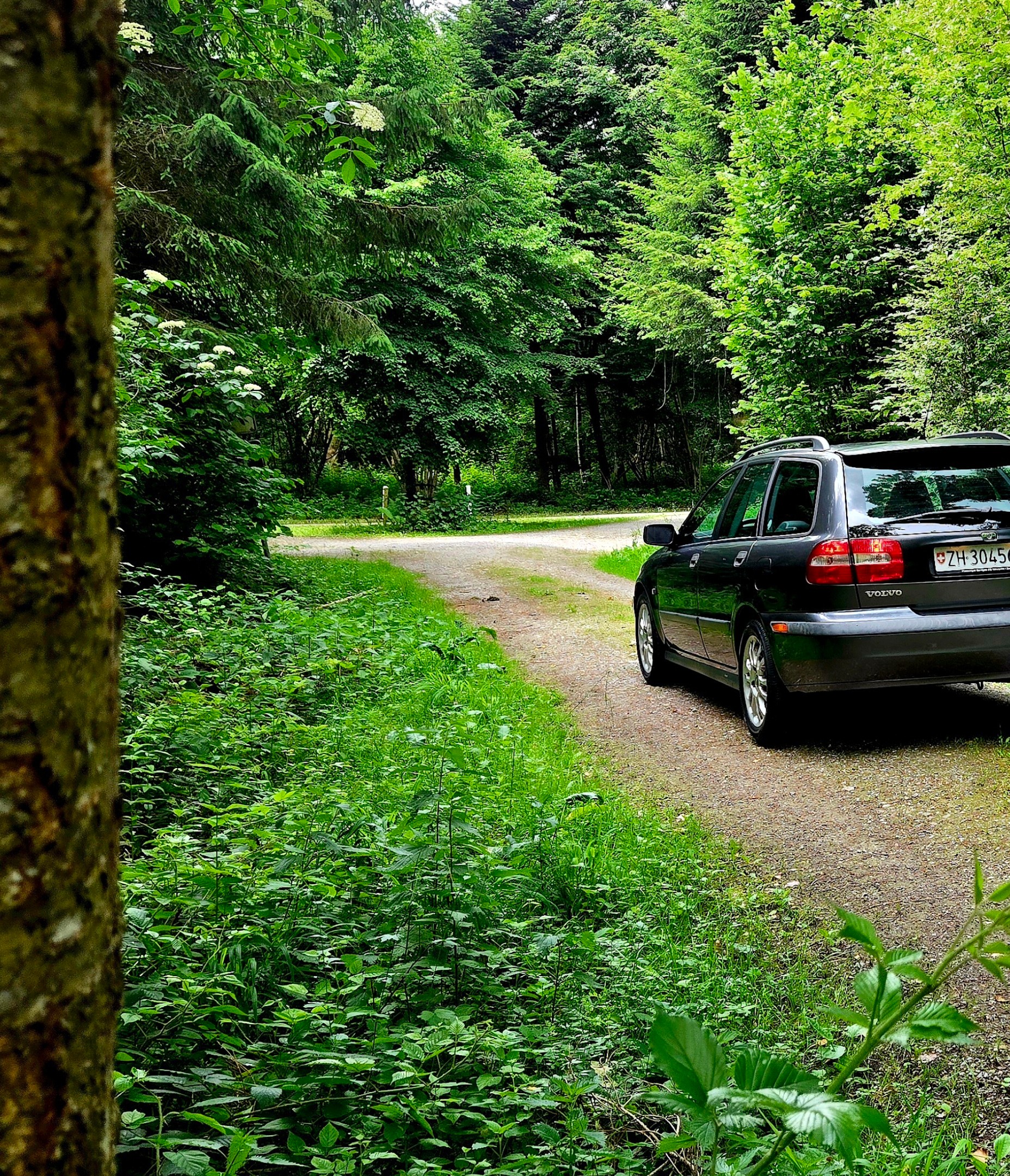 VOLVO V40 2.0T Nordic-image-12