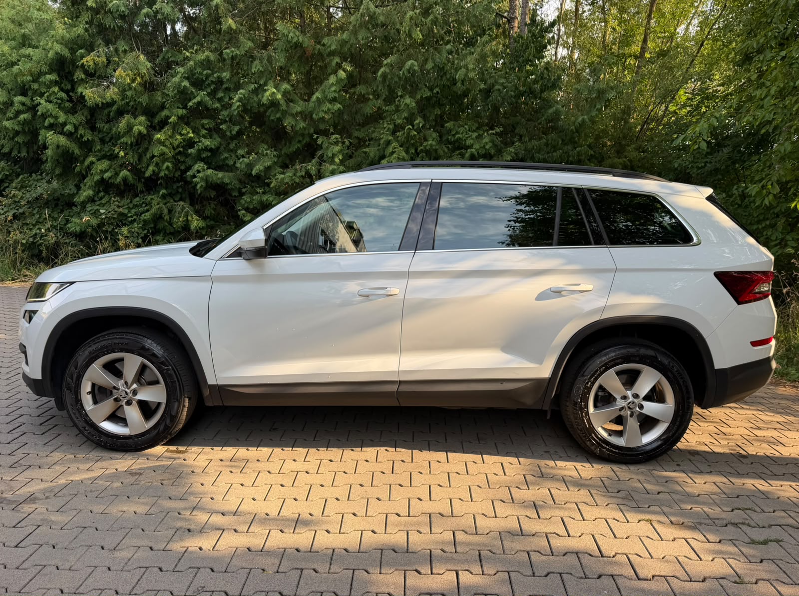 SKODA Kodiaq 2.0 TDI CR Ambition 4x4 DSG-showroom-element-1