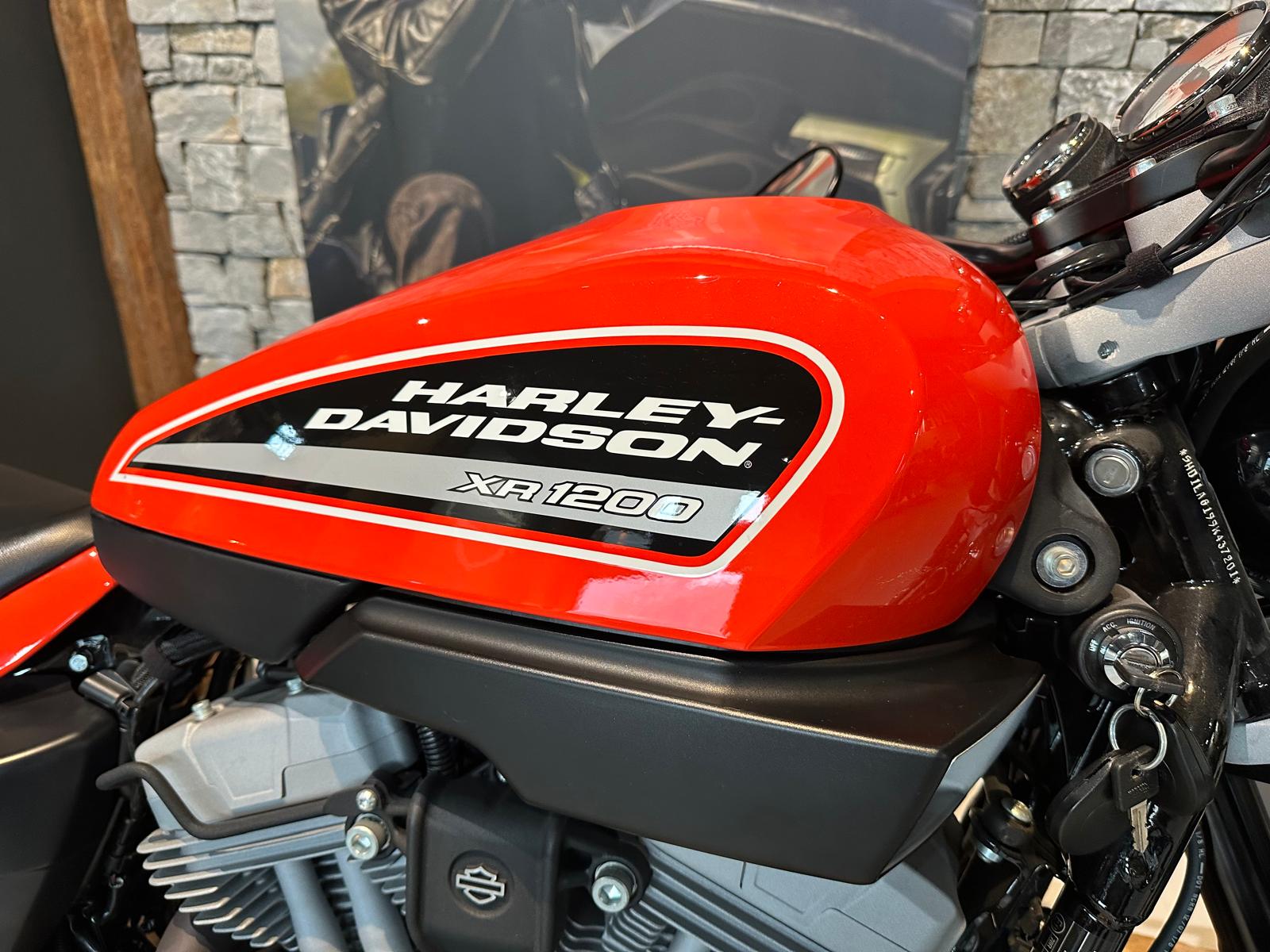 HARLEY-DAVIDSON XR 1200 (25KW Possible)-image-4