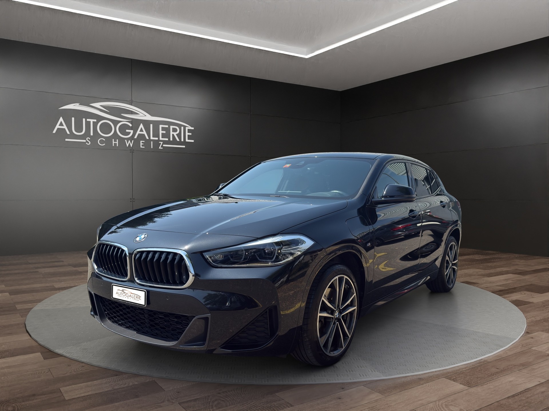 BMW X2 xDrive 25e M Sport | CH | Driving Assistant Plus | Kamera | HeadUp | Memory | 