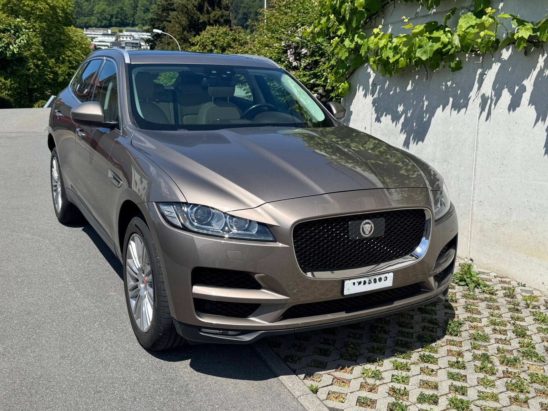 JAGUAR 3.0 V6 D 90YRS Celebration Edition AWD
