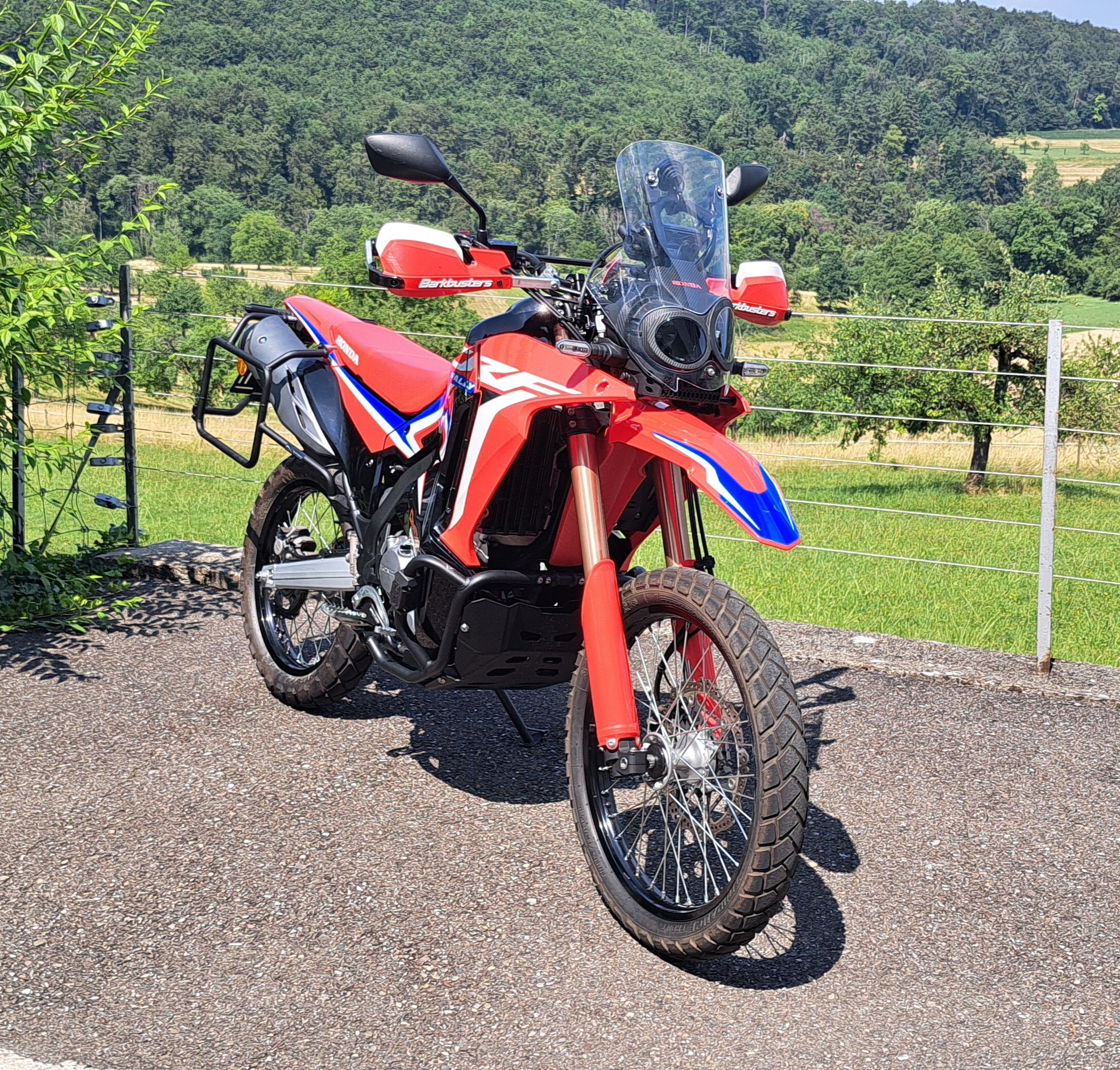 HONDA CRF 300 RL Rally-image-6