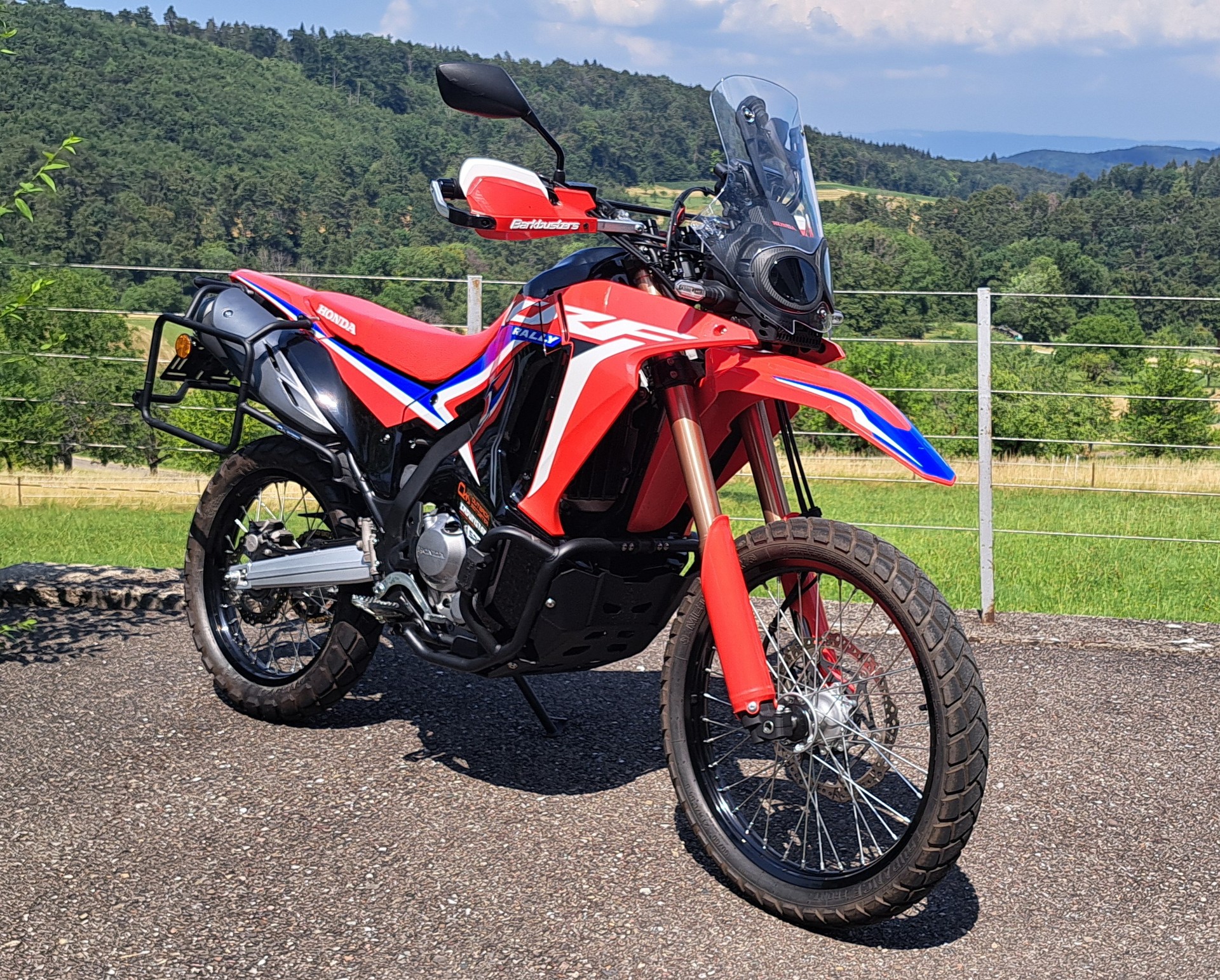 HONDA CRF 300 RL Rally-image-0