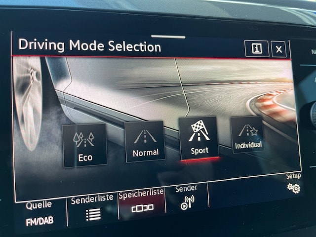 VW Polo 2.0 TSI GTI DSG-image-16