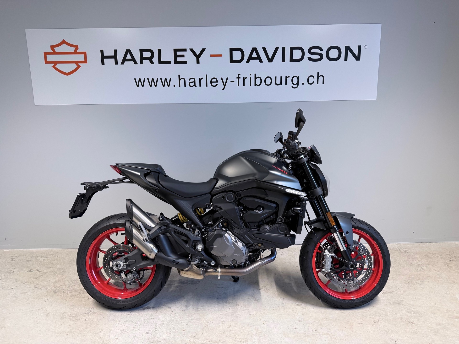 DUCATI Monster + 937-image-0