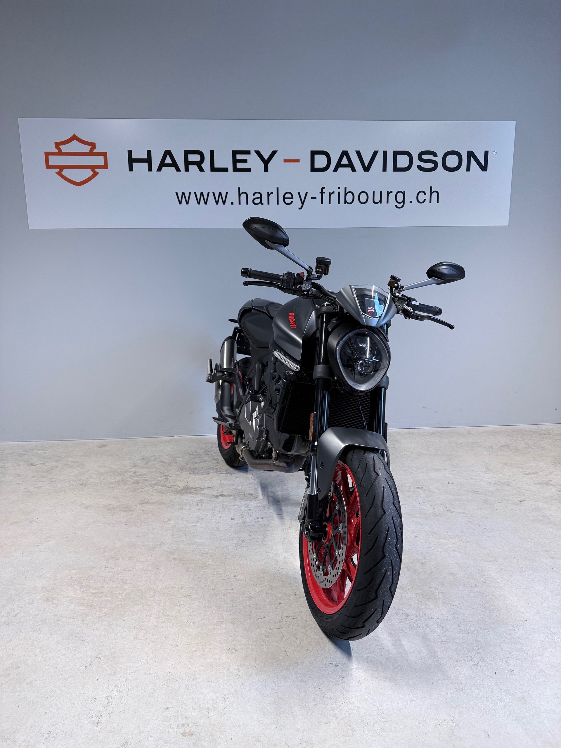 DUCATI Monster + 937-image-1