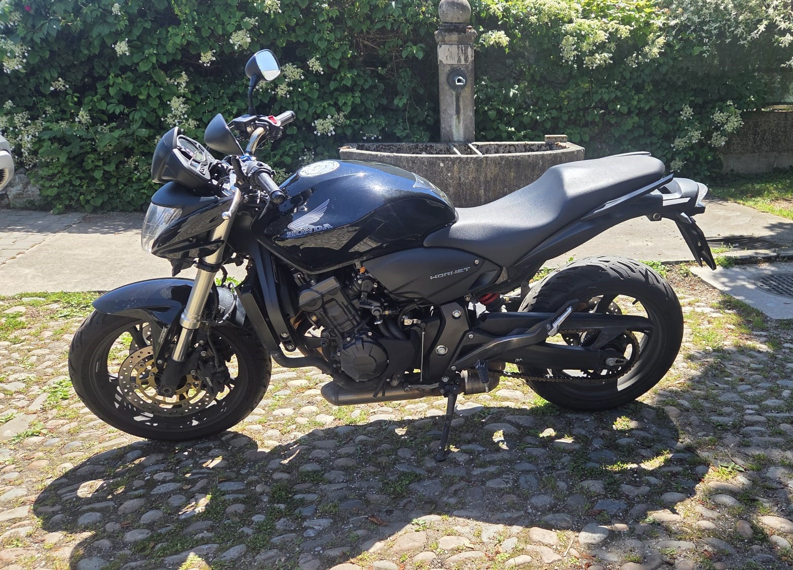 HONDA CB 600 F ABS Hornet-image-1