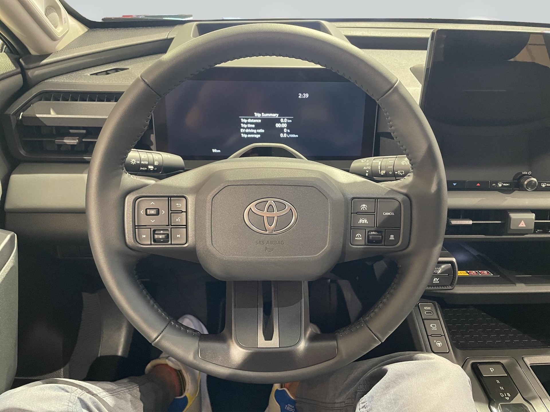 TOYOTA RAV4 2.5 HEV Premium-image-10
