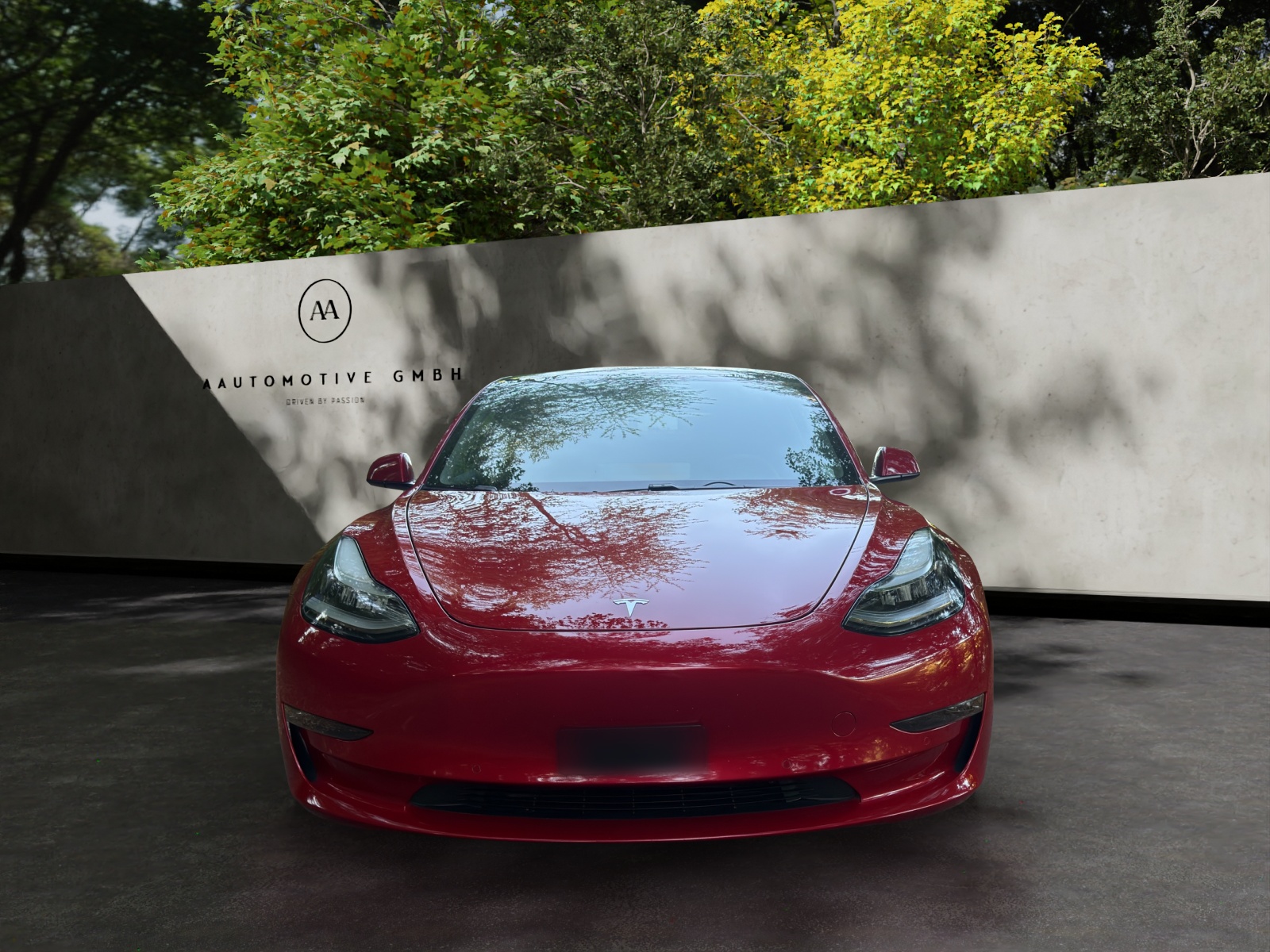 TESLA Model 3 Long Range Dual Motor AWD-showroom-element-1