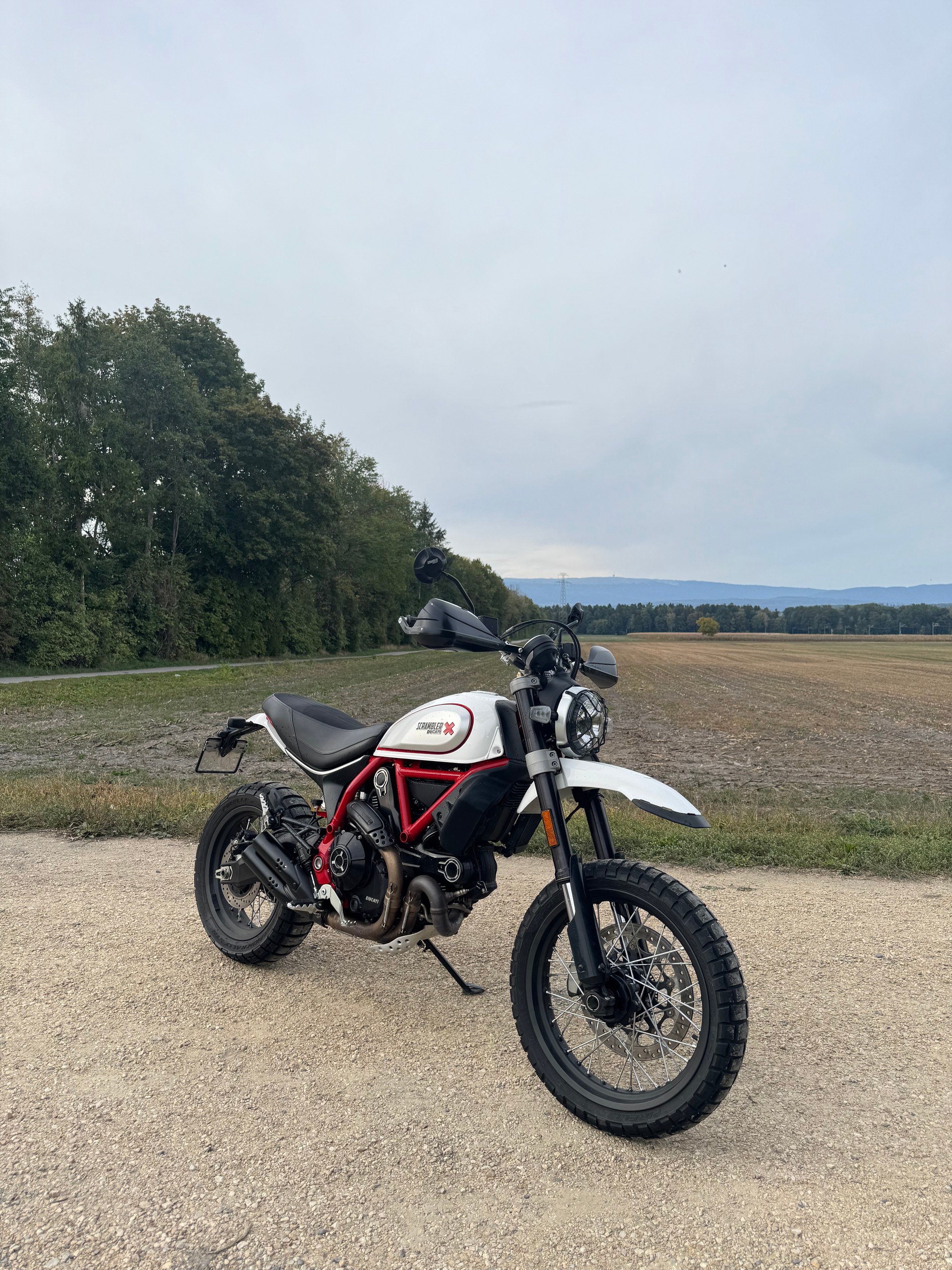 DUCATI Scrambler 800 Desert Sled (35kW)-image-0