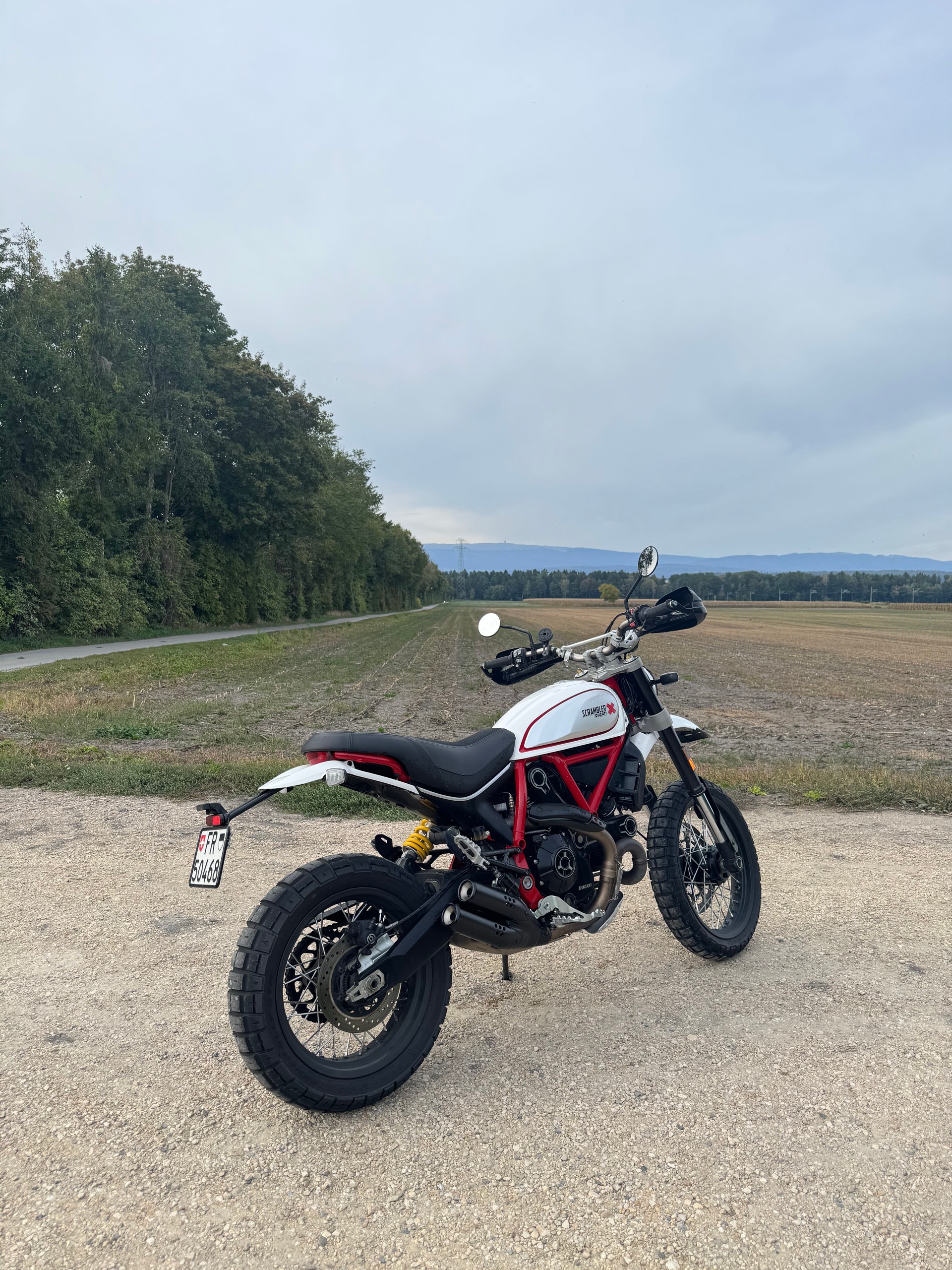 DUCATI Scrambler 800 Desert Sled (35kW)-image-2