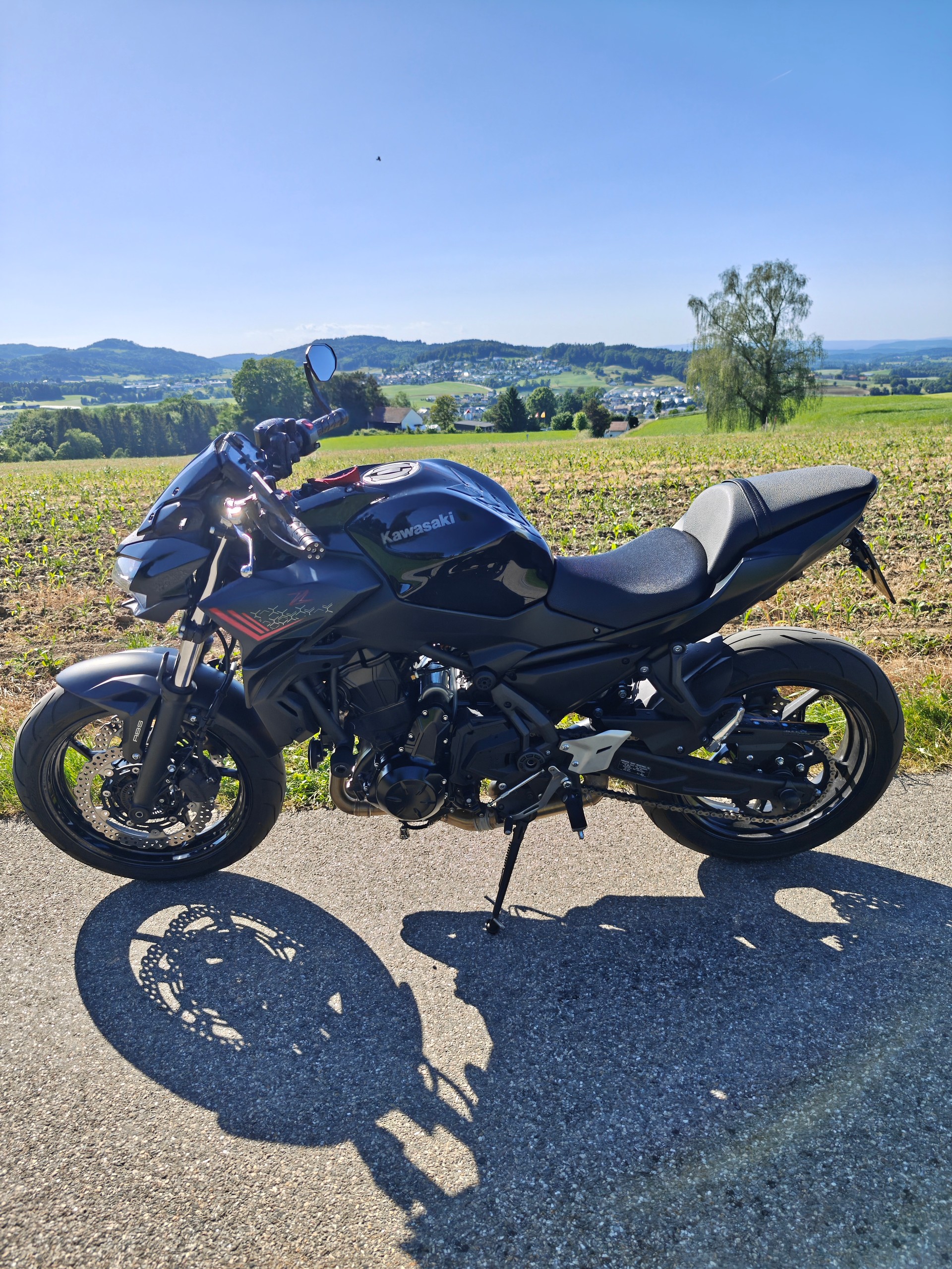 KAWASAKI Z 650 (35kW)-image-6