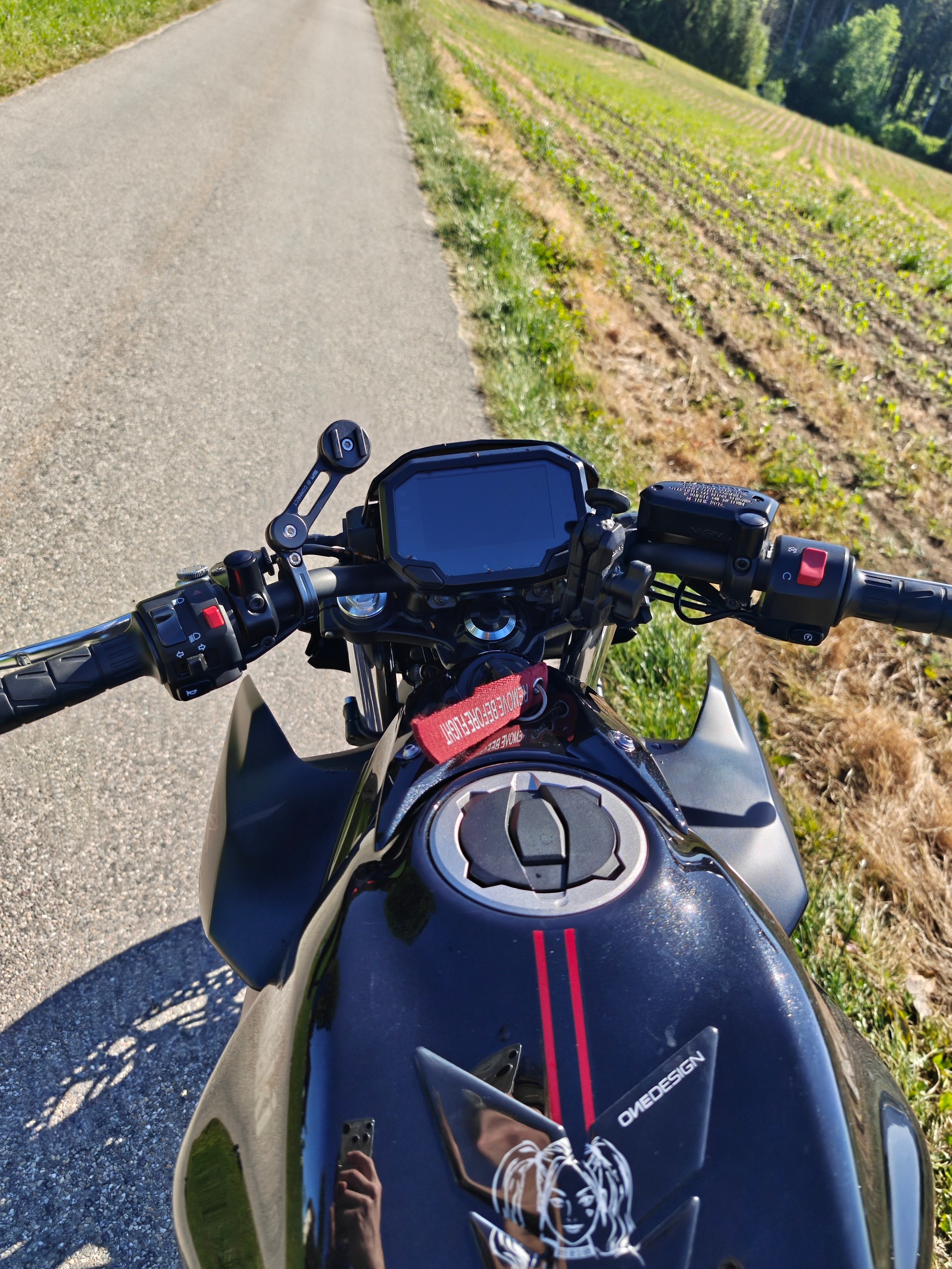 KAWASAKI Z 650 (35kW)-image-15