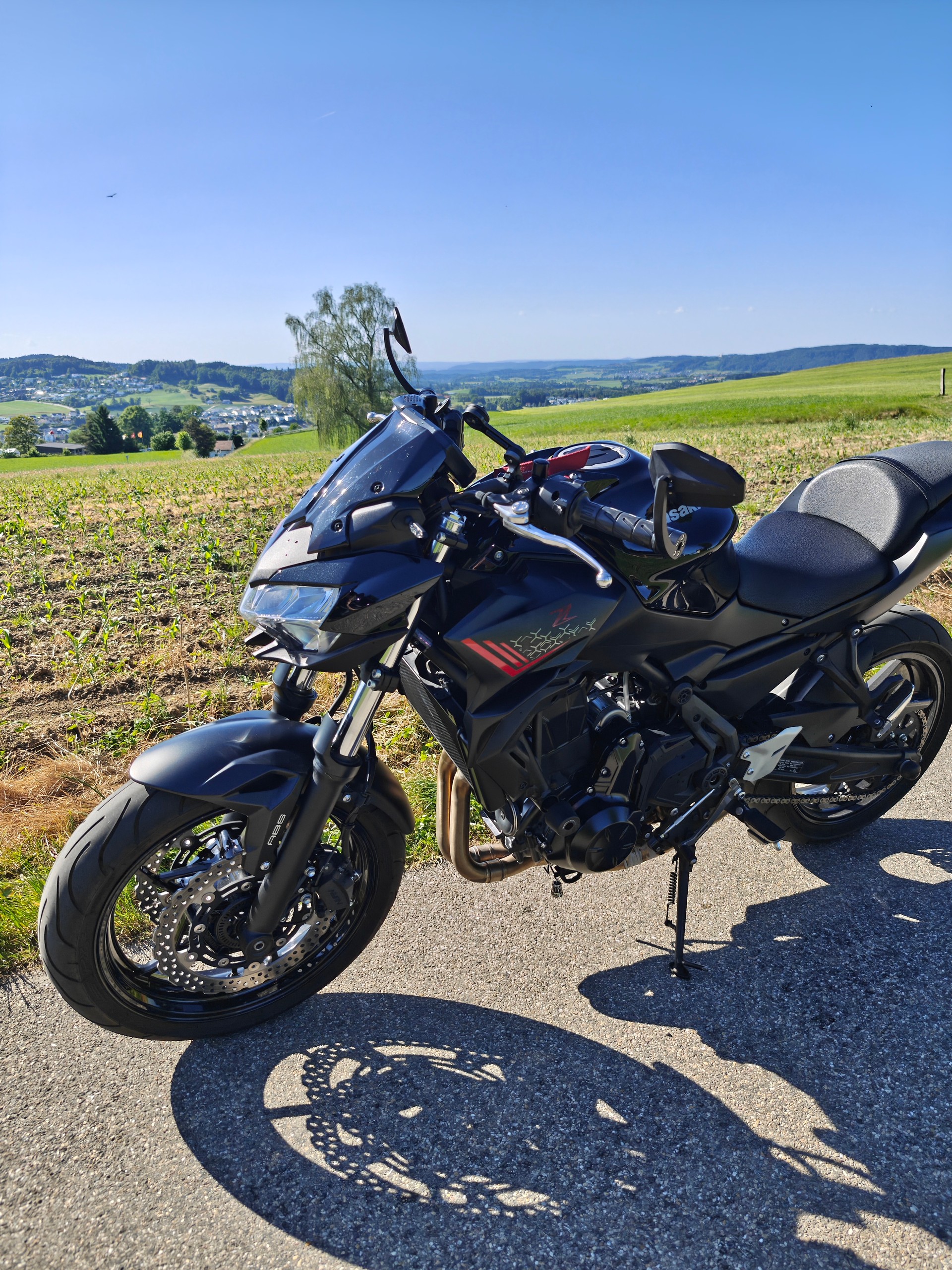 KAWASAKI Z 650 (35kW)-image-2