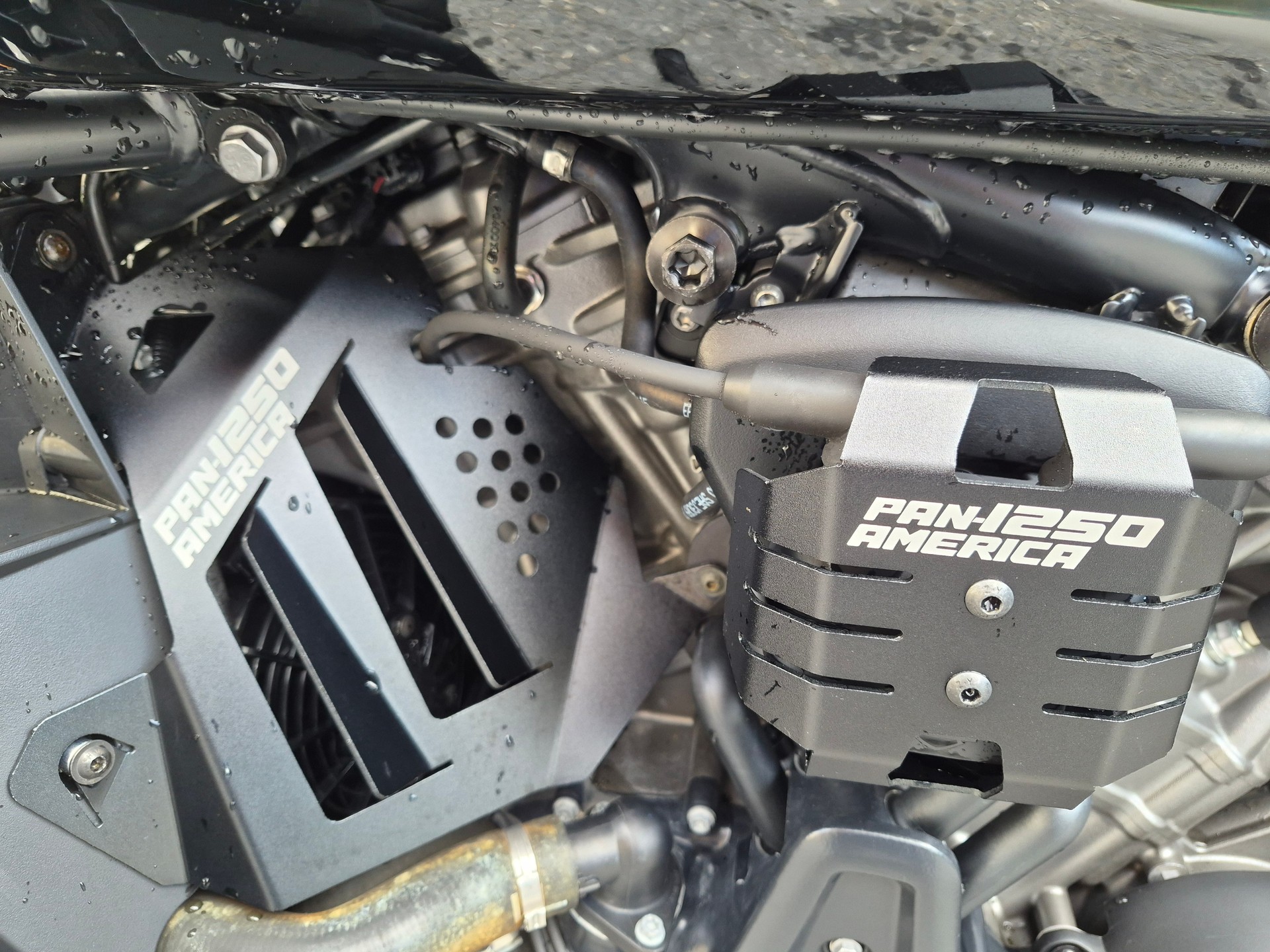 HARLEY-DAVIDSON Pan America 1250S Special-image-6