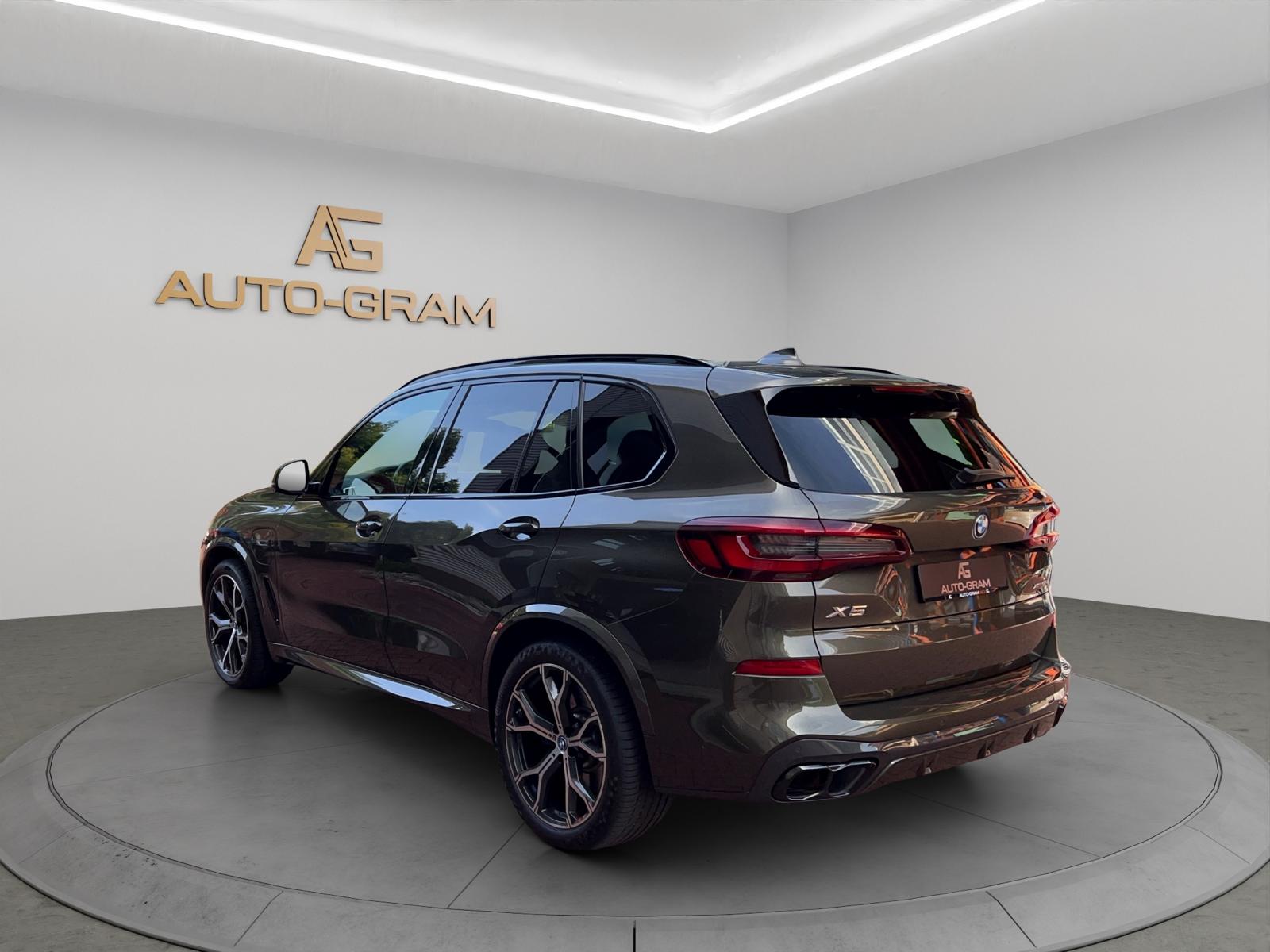 BMW X5 xDrive45e M Sport Steptronic-showroom-element-2