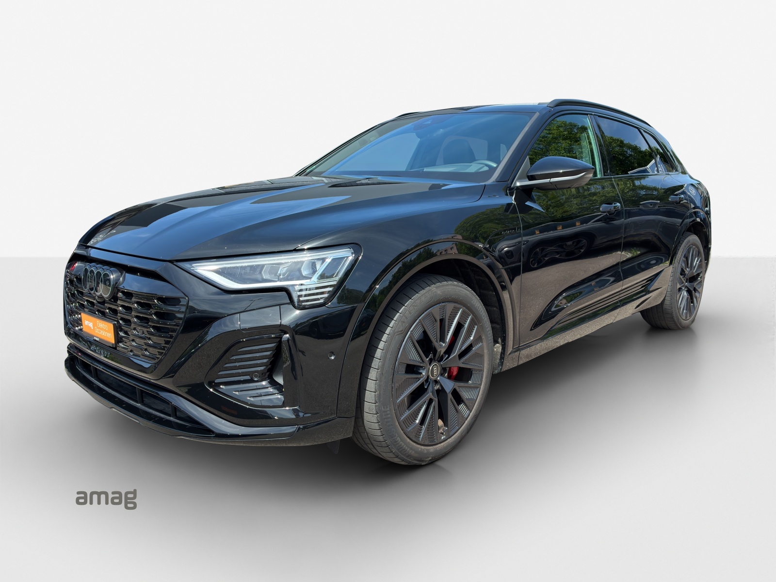 AUDI Q8 55 e-tron Black Edition quattro