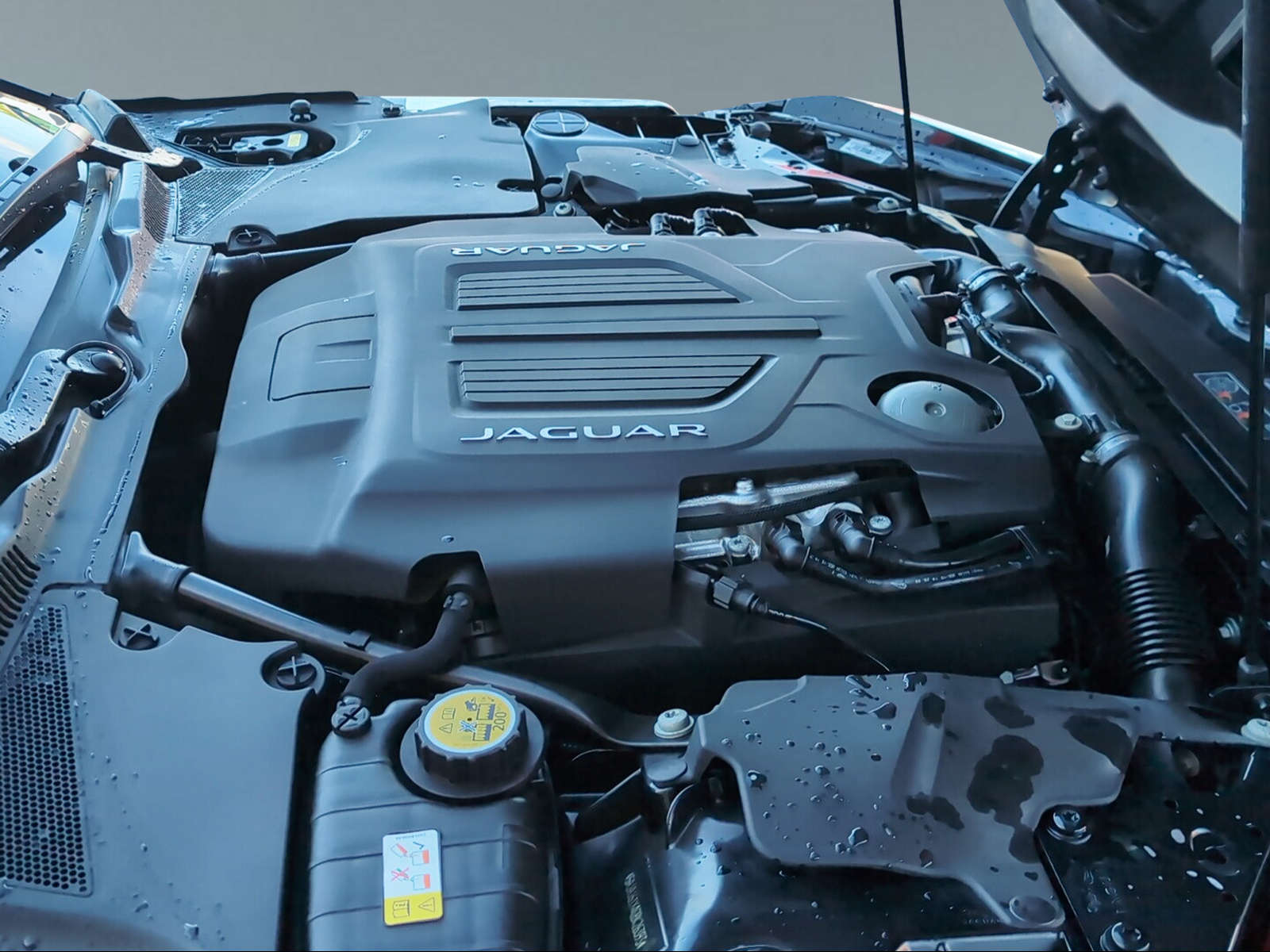 JAGUAR F-Type Coupé 3.0 V6 S AWD-image-10