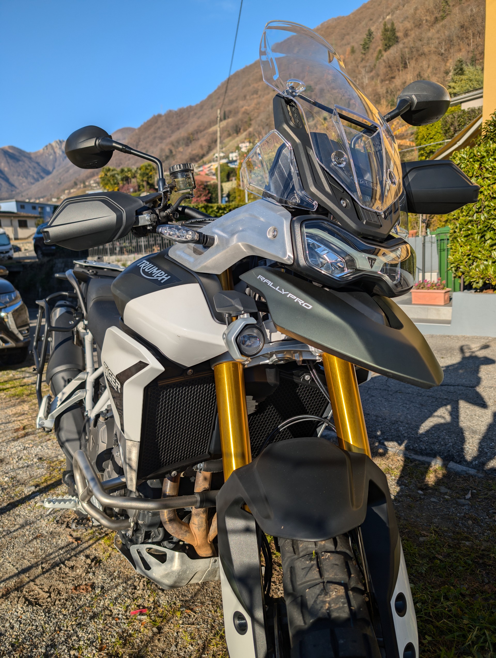 TRIUMPH Tiger 900 Rally Pro-image-0