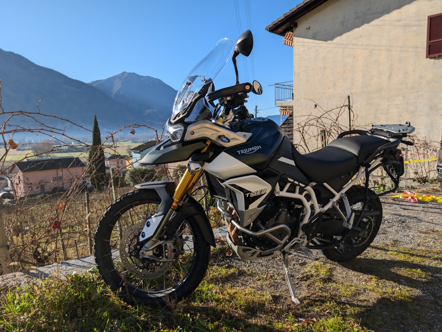 TRIUMPH Tiger 900 Rally Pro-image-2
