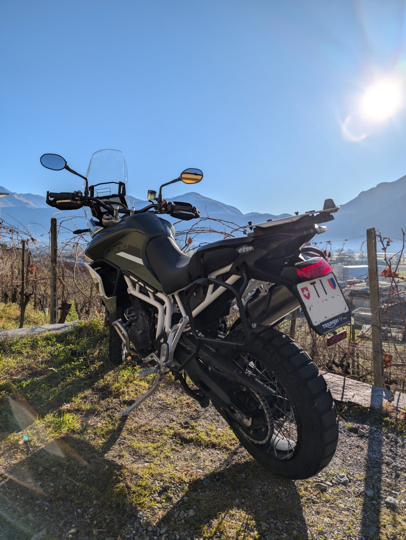 TRIUMPH Tiger 900 Rally Pro-image-1