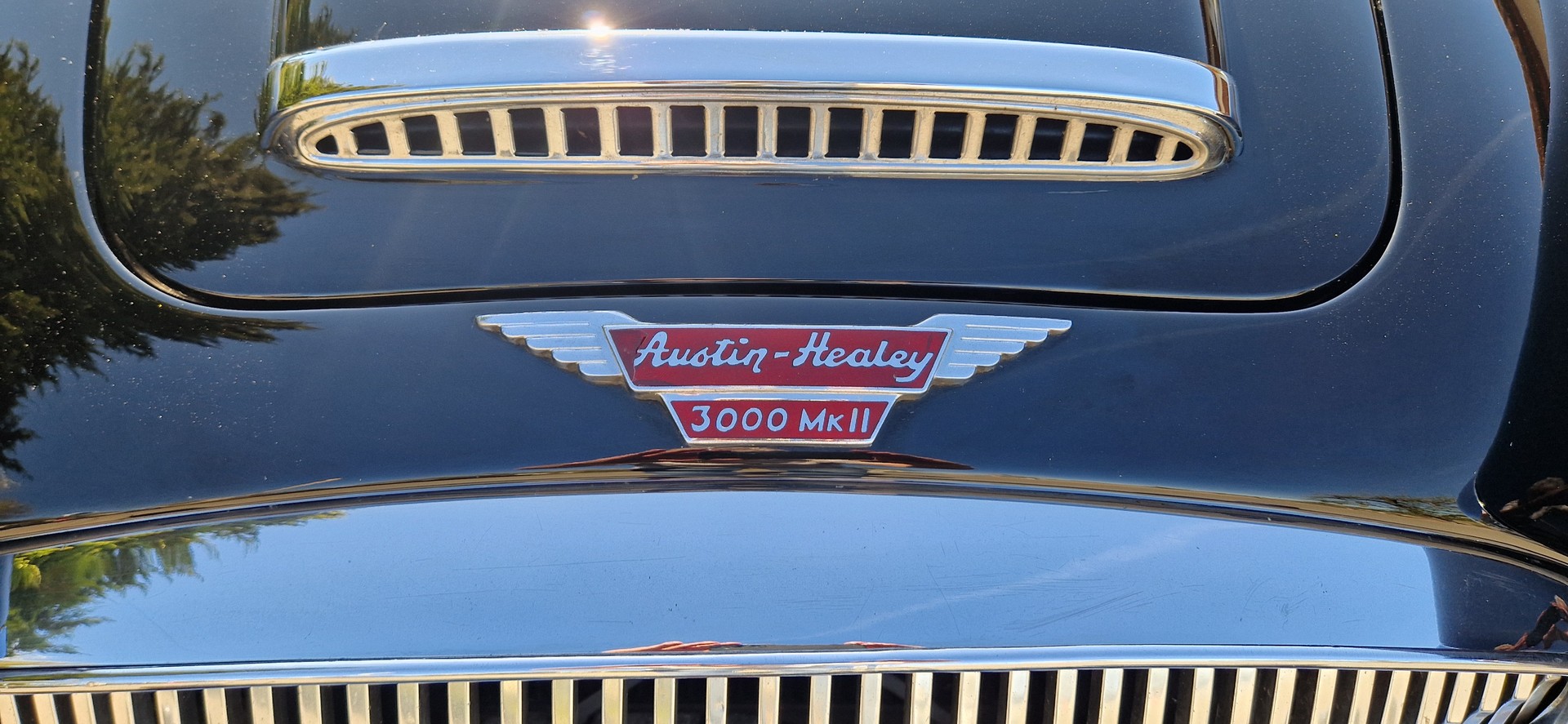 AUSTIN-HEALEY 3000 MK 2-image-8