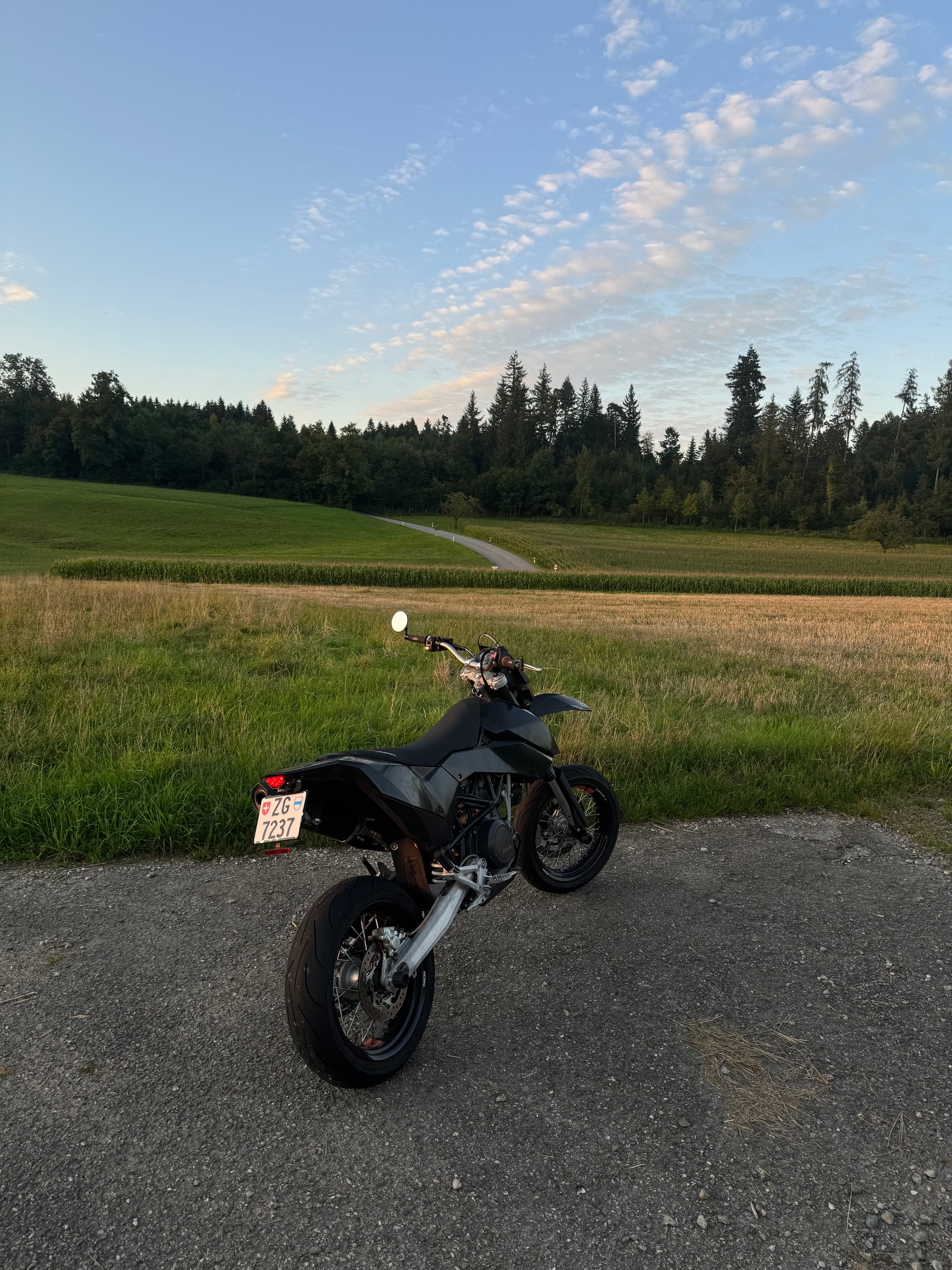 KTM 690 SM Limited Edition-image-4
