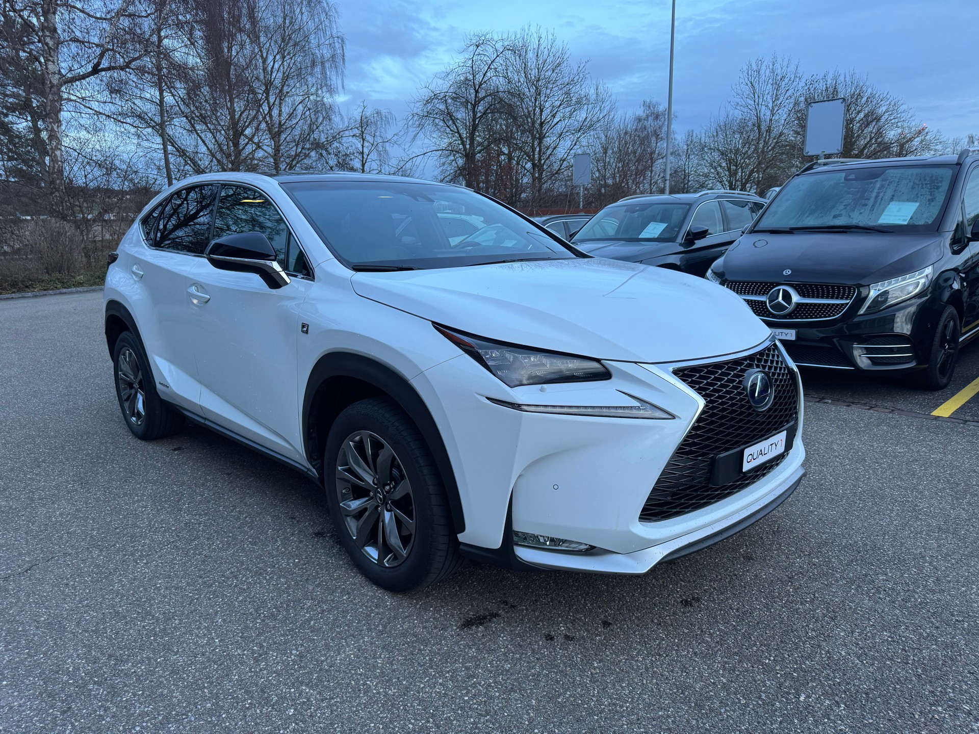LEXUS NX 300h F-Sport E-Four Automatic-image-2