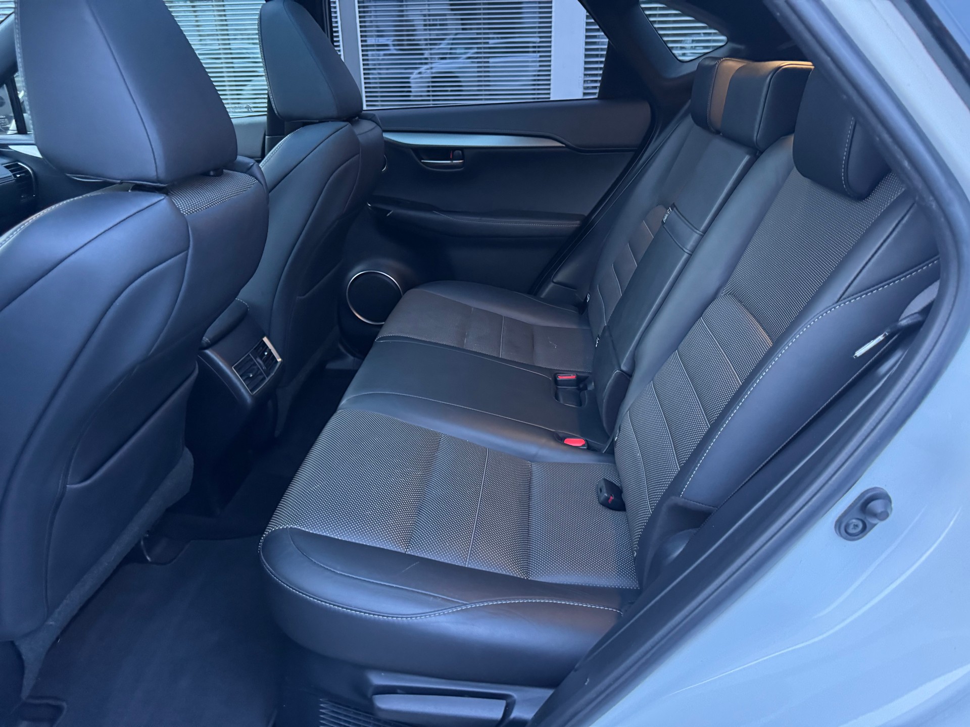 LEXUS NX 300h F-Sport E-Four Automatic-image-11