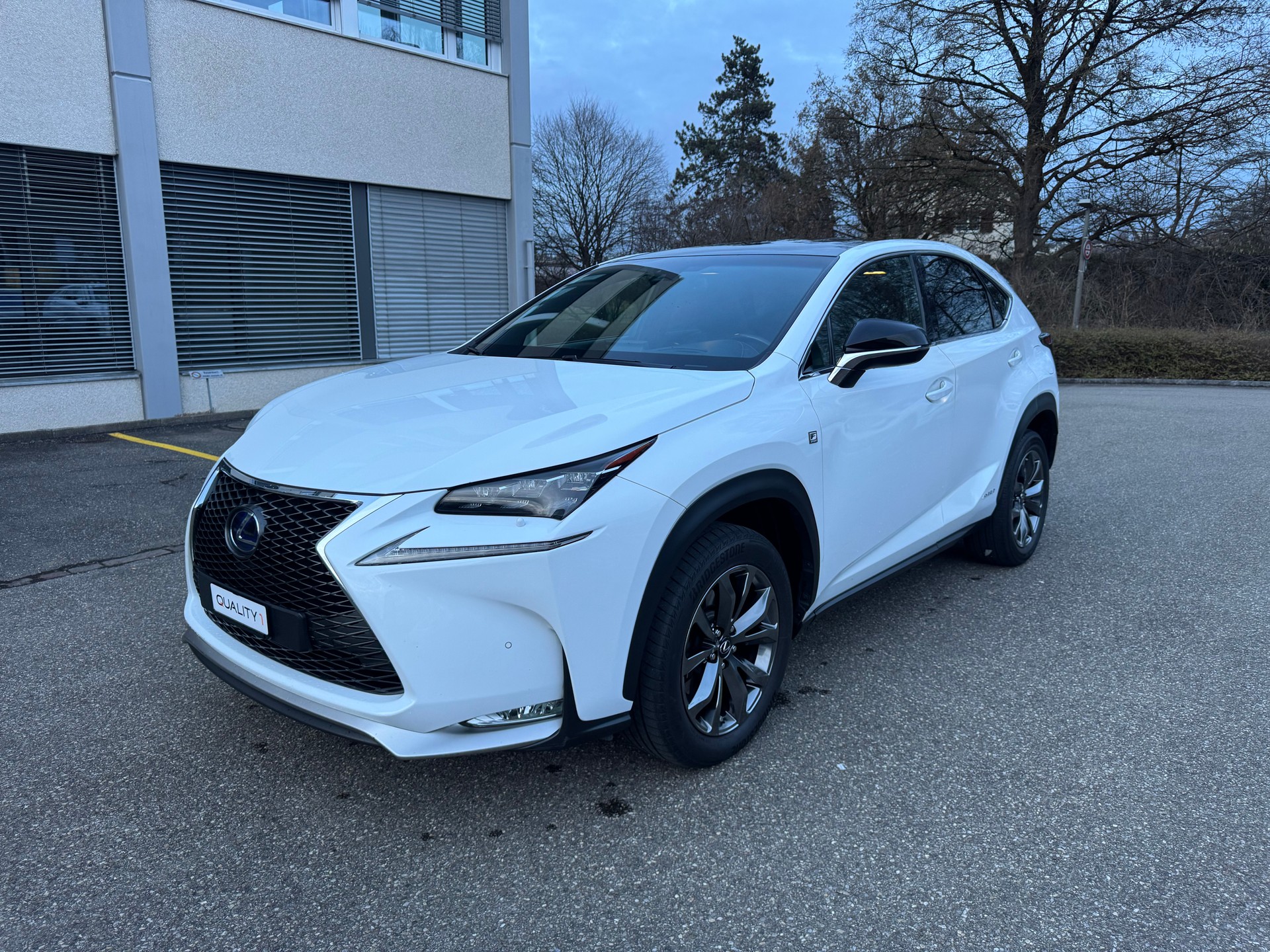 LEXUS NX 300h F-Sport E-Four Automatic