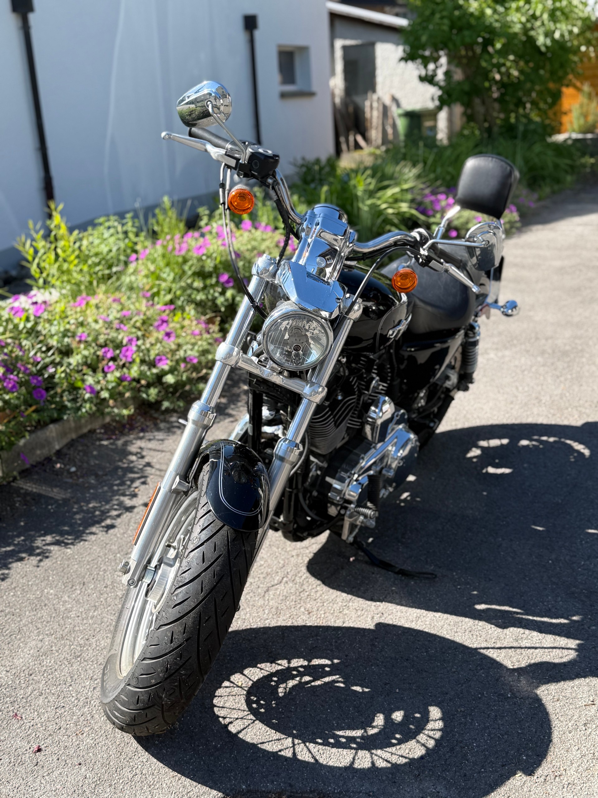HARLEY-DAVIDSON XL 1200 C Sportster Custom-image-1