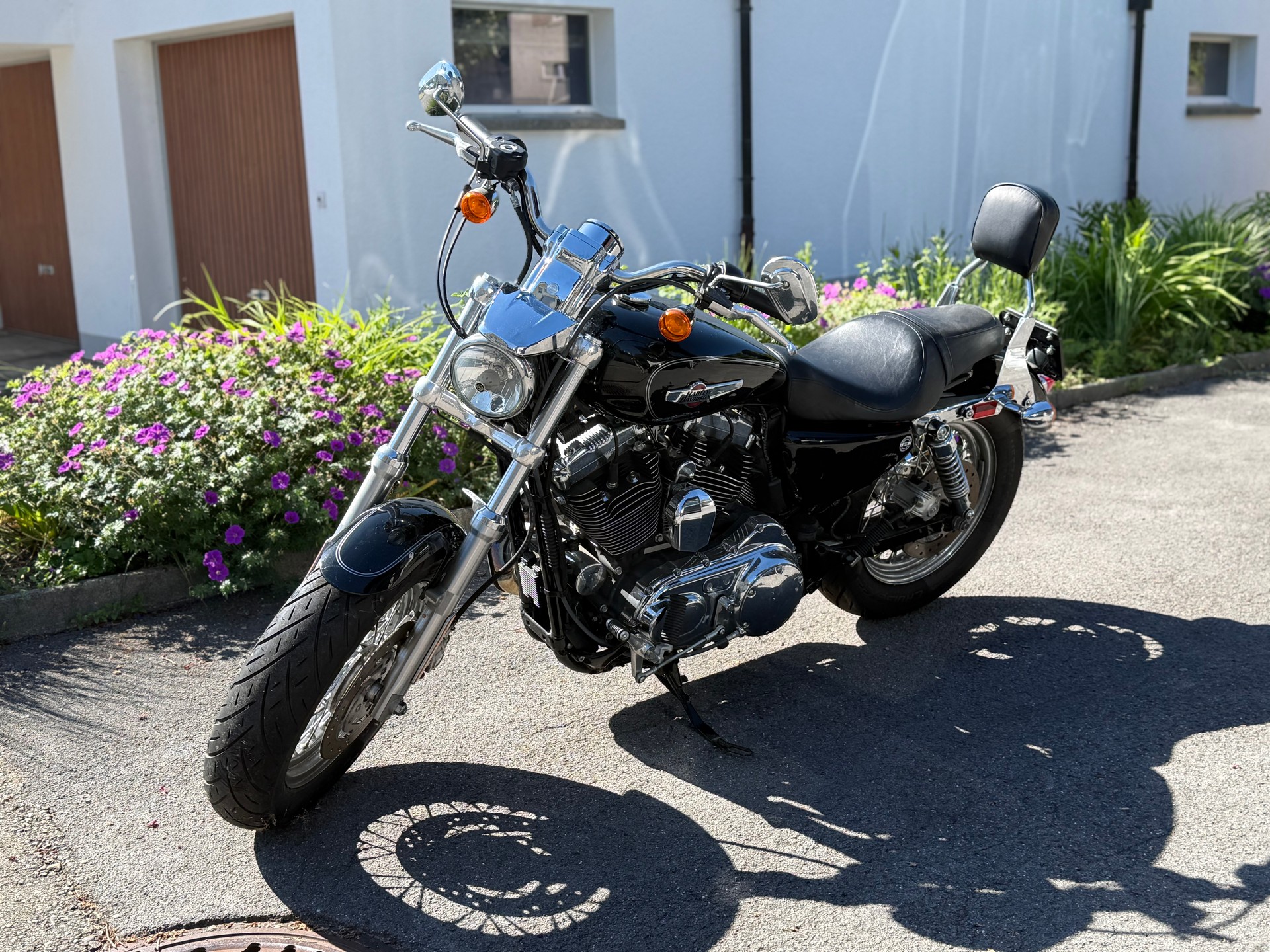 HARLEY-DAVIDSON XL 1200 C Sportster Custom-image-0